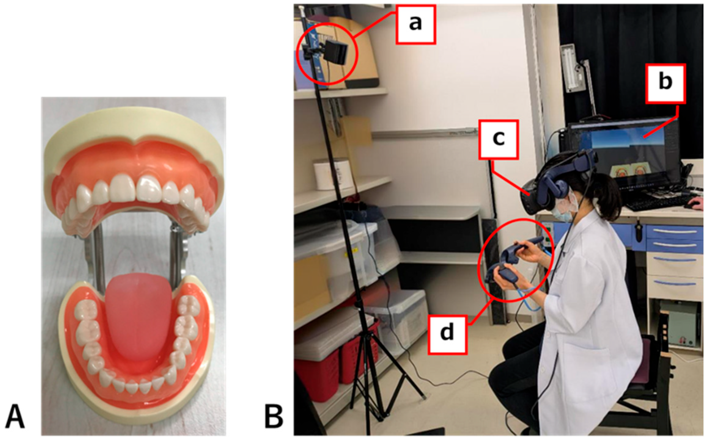 Dentistry 13 00566 g002