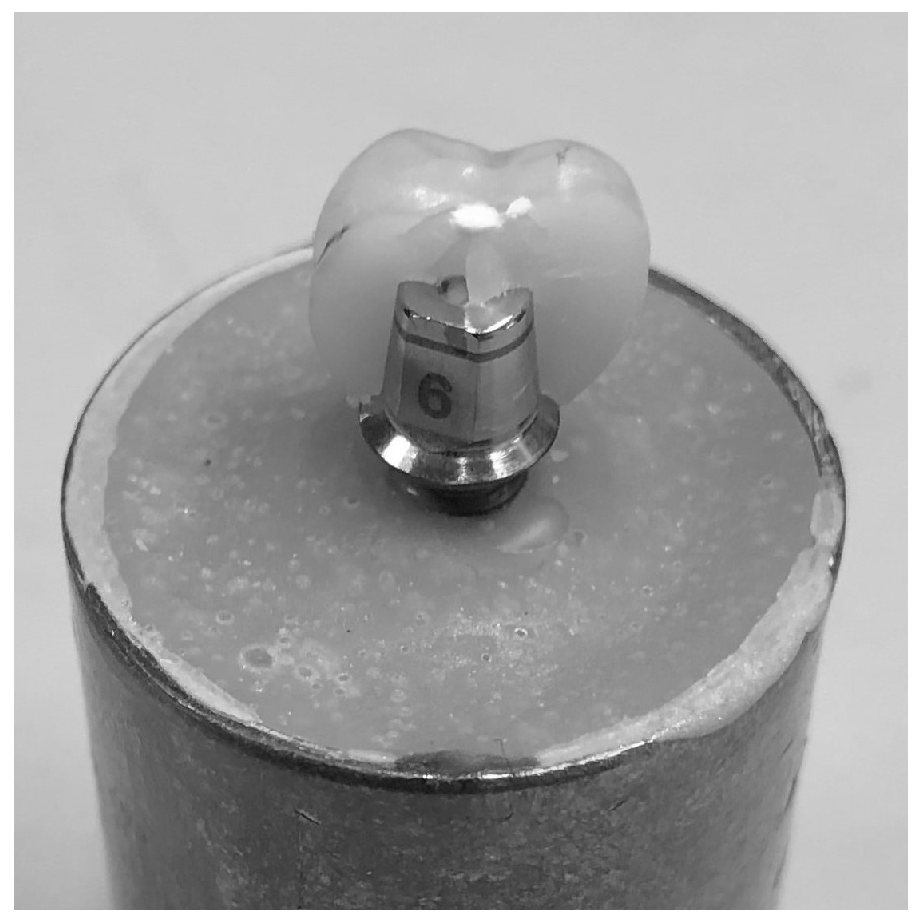 Dentistry 13 00574 g003