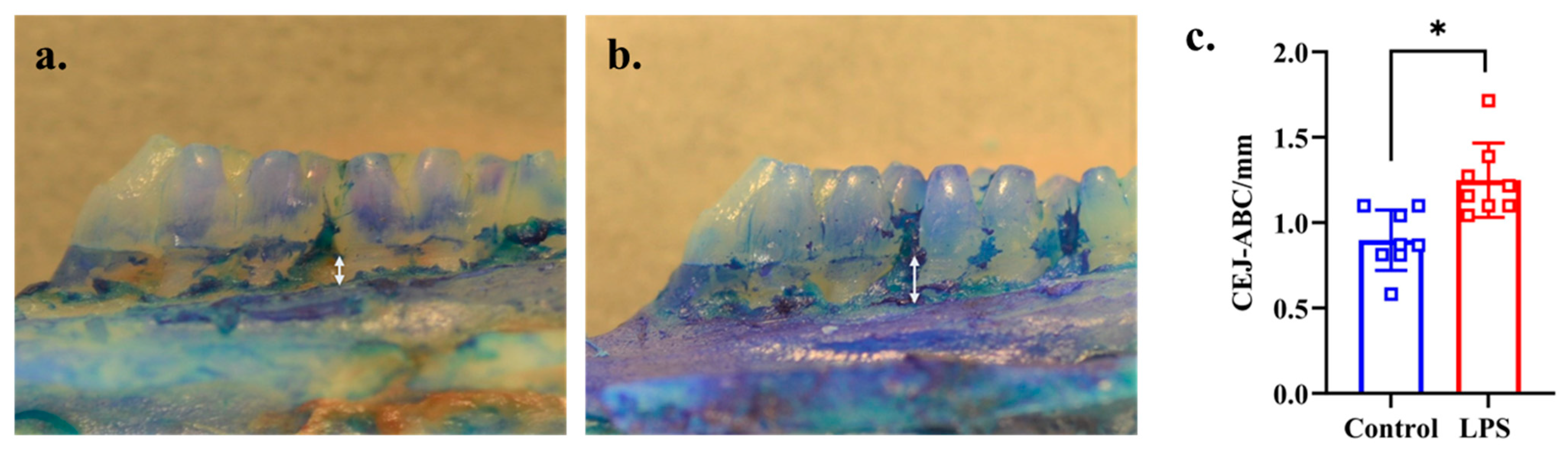 Dentistry 13 00577 g001 Dentistry 13 00577 g001