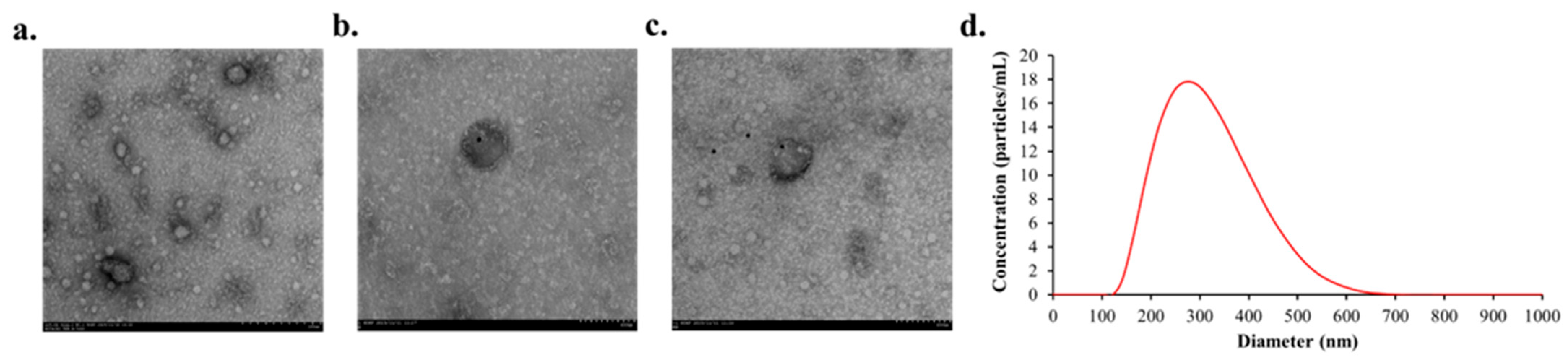 Dentistry 13 00577 g002 Dentistry 13 00577 g002