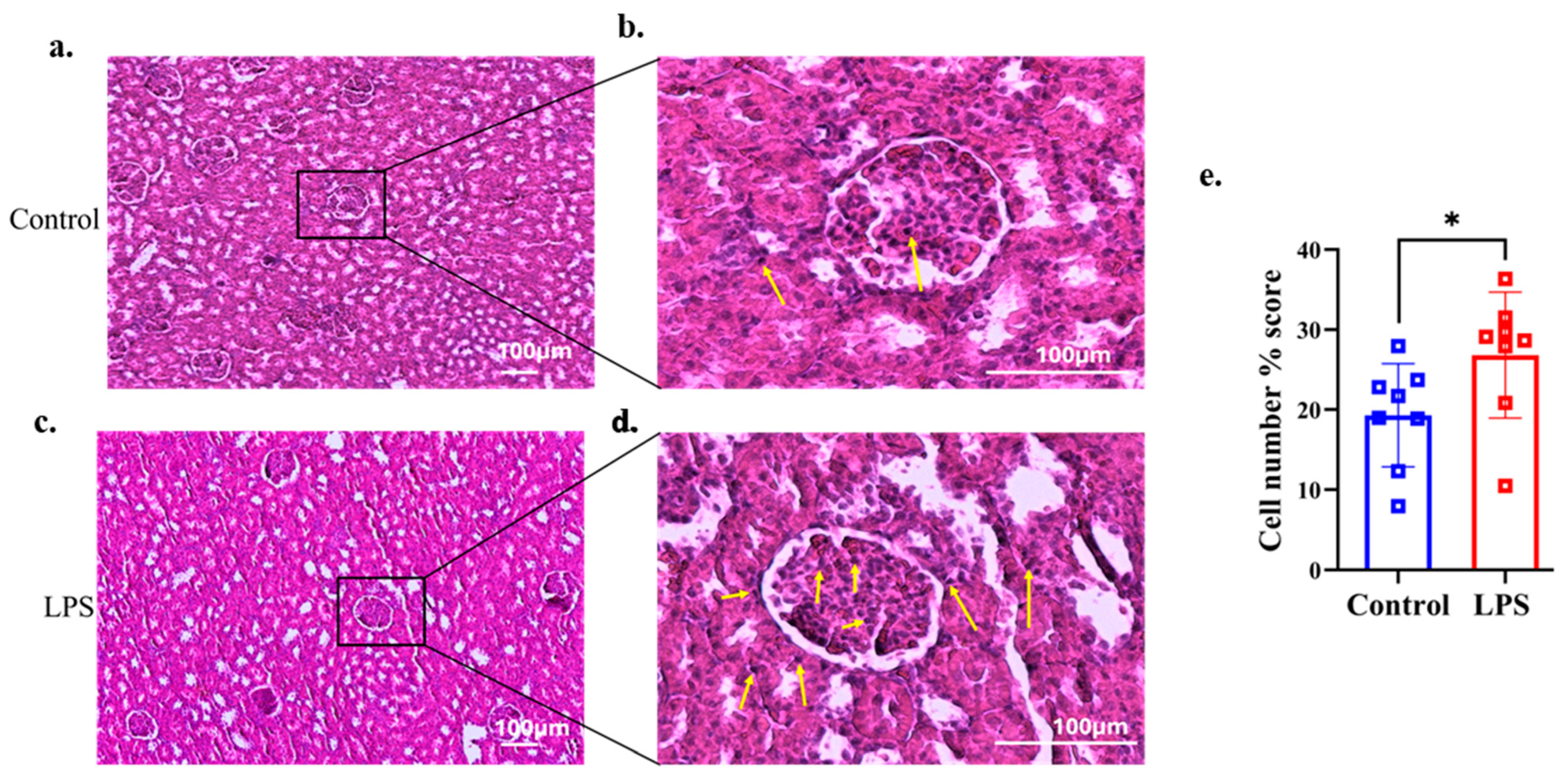 Dentistry 13 00577 g003 Dentistry 13 00577 g003