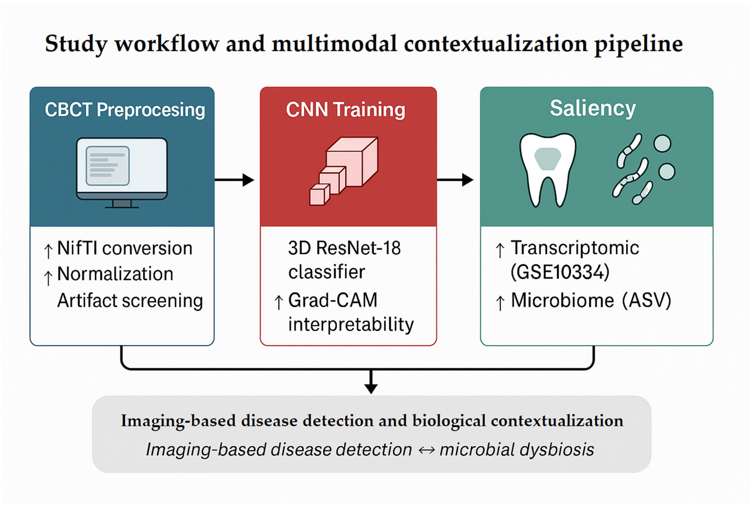 Dentistry 13 00578 g001