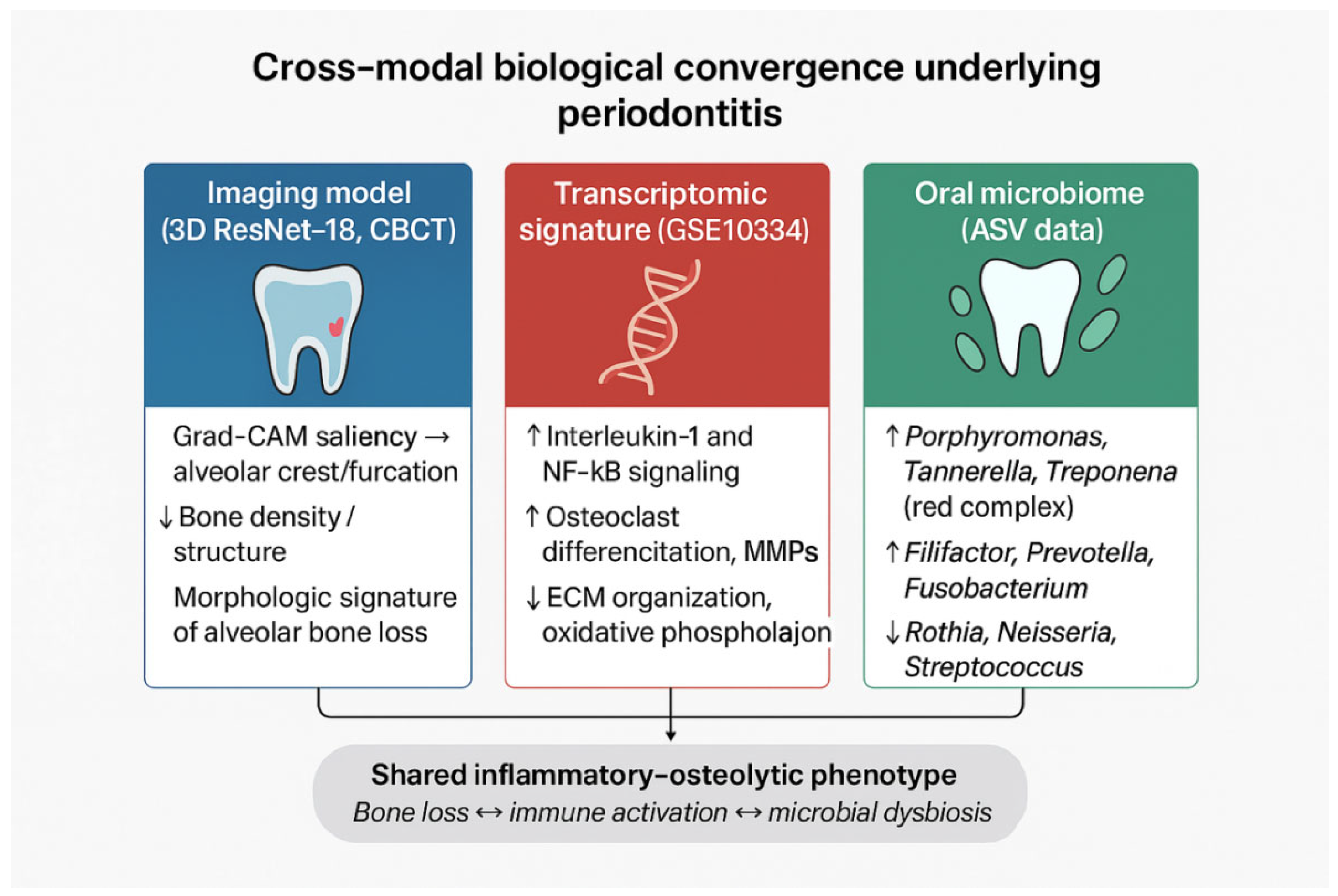Dentistry 13 00578 g012