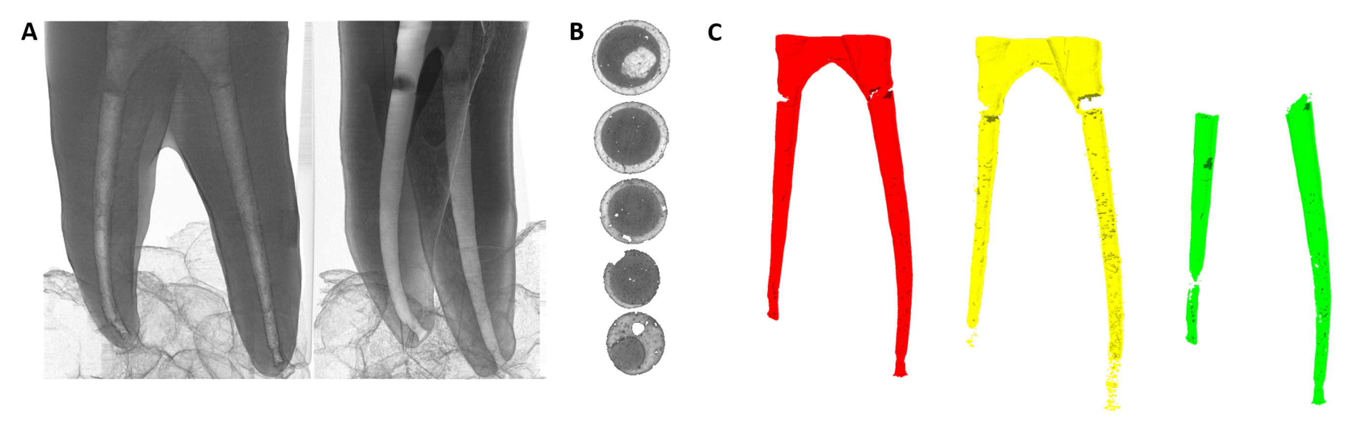 Dentistry 13 00579 g005 Dentistry 13 00579 g005