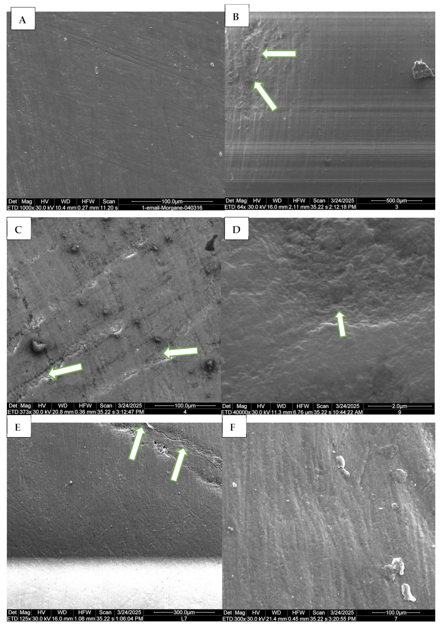 Dentistry 13 00588 g002 Dentistry 13 00588 g002