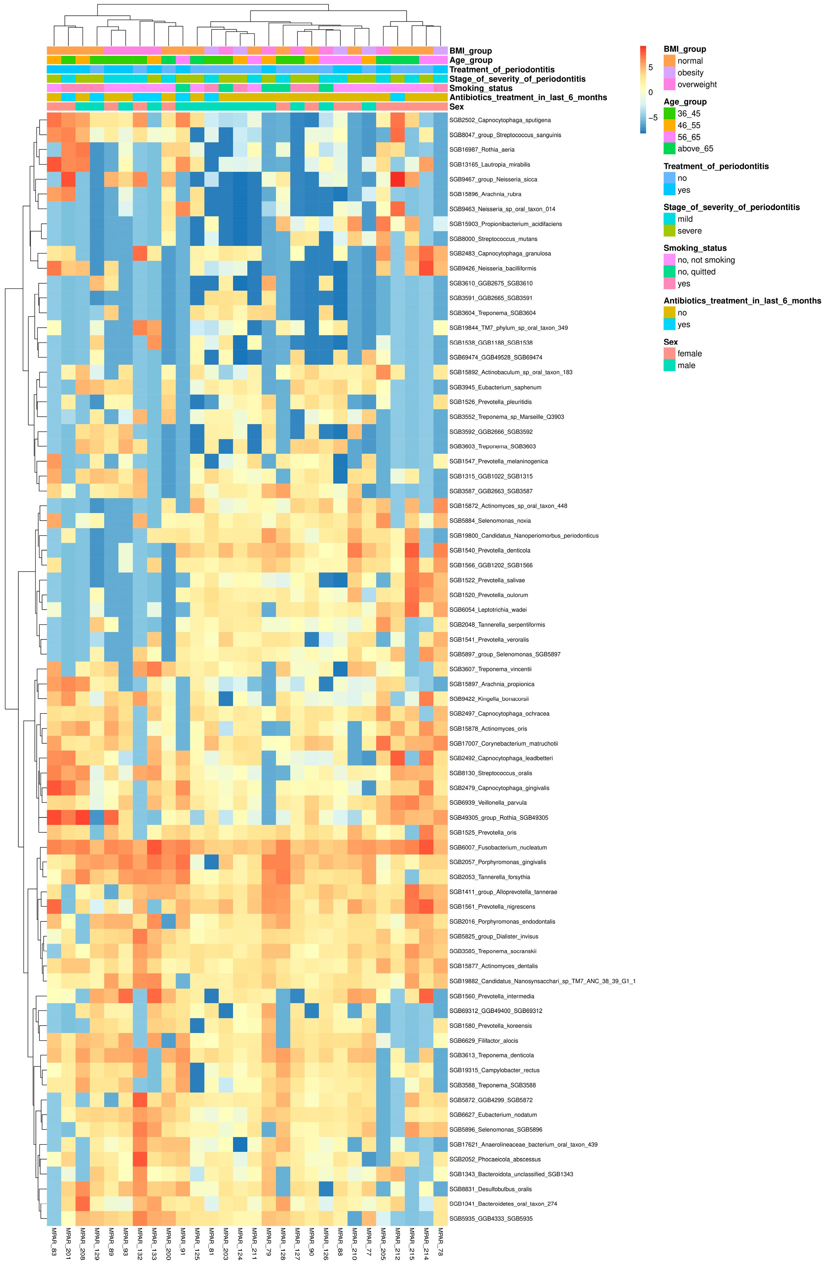 Dentistry 13 00590 g003 Dentistry 13 00590 g003