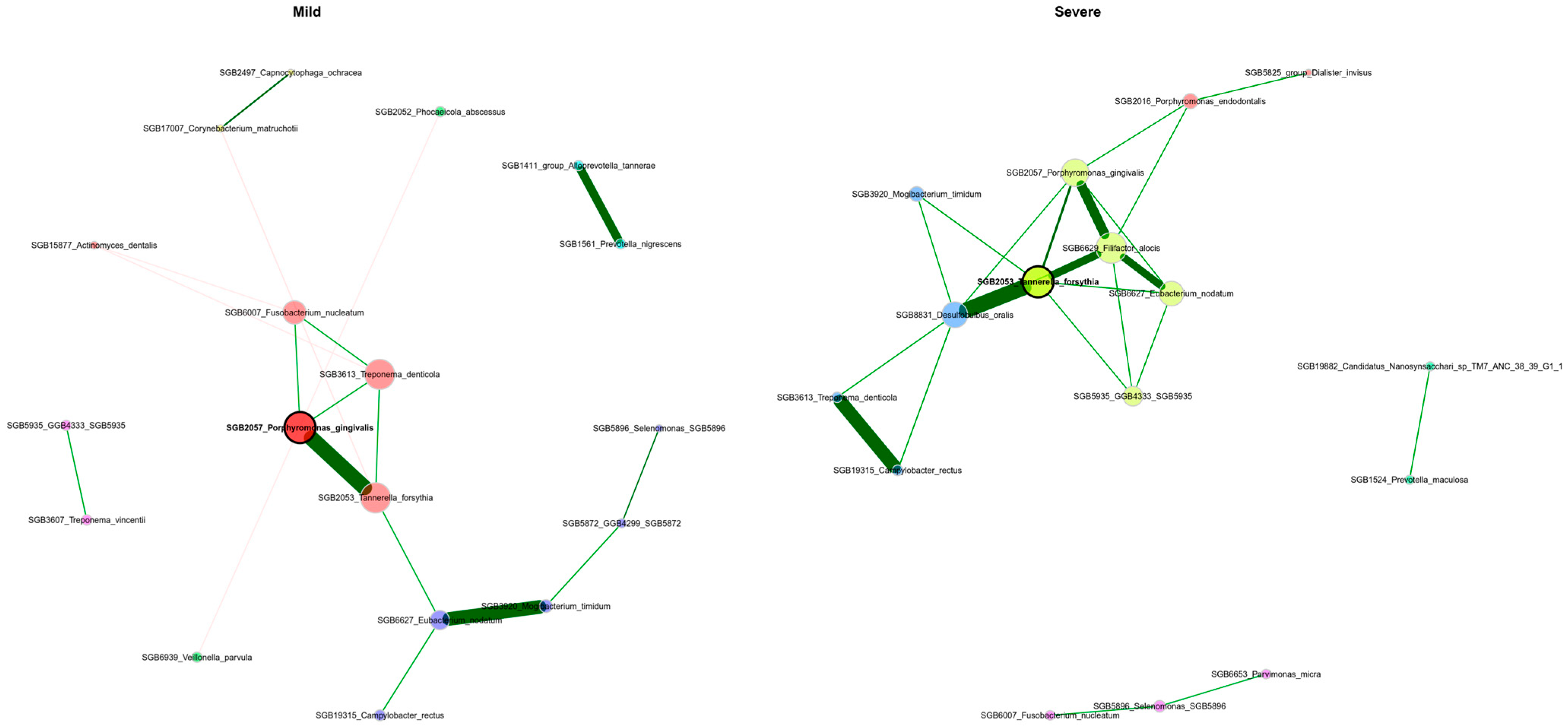 Dentistry 13 00590 g015 Dentistry 13 00590 g015