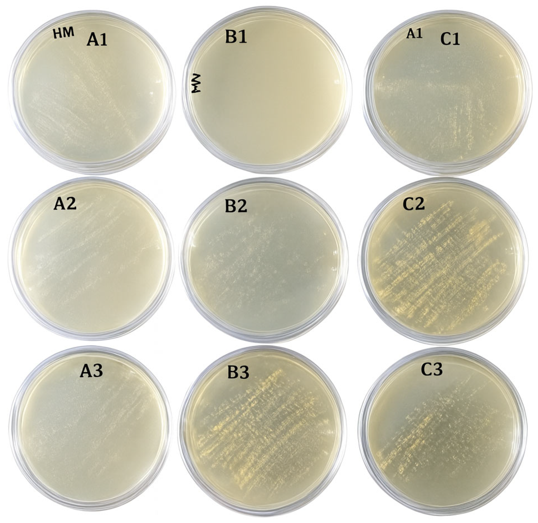 Dentistry 13 00596 g002