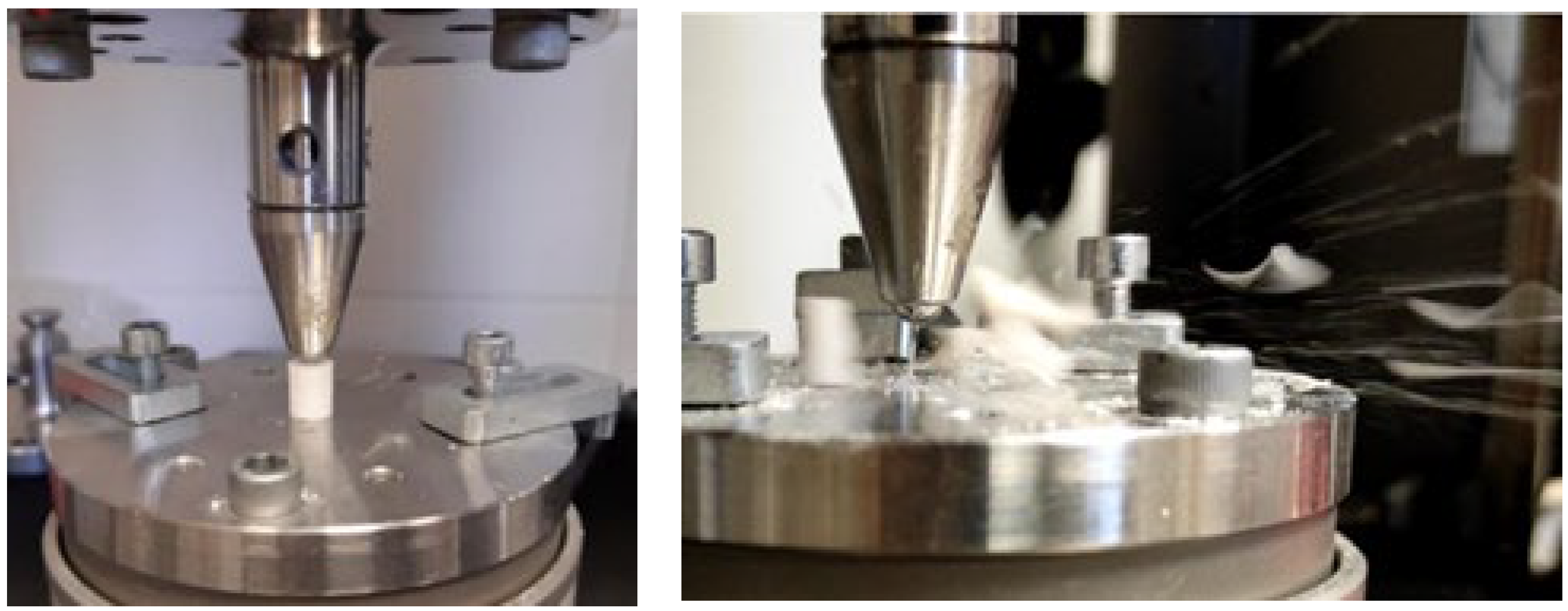 Dentistry 13 00601 g002 Dentistry 13 00601 g002