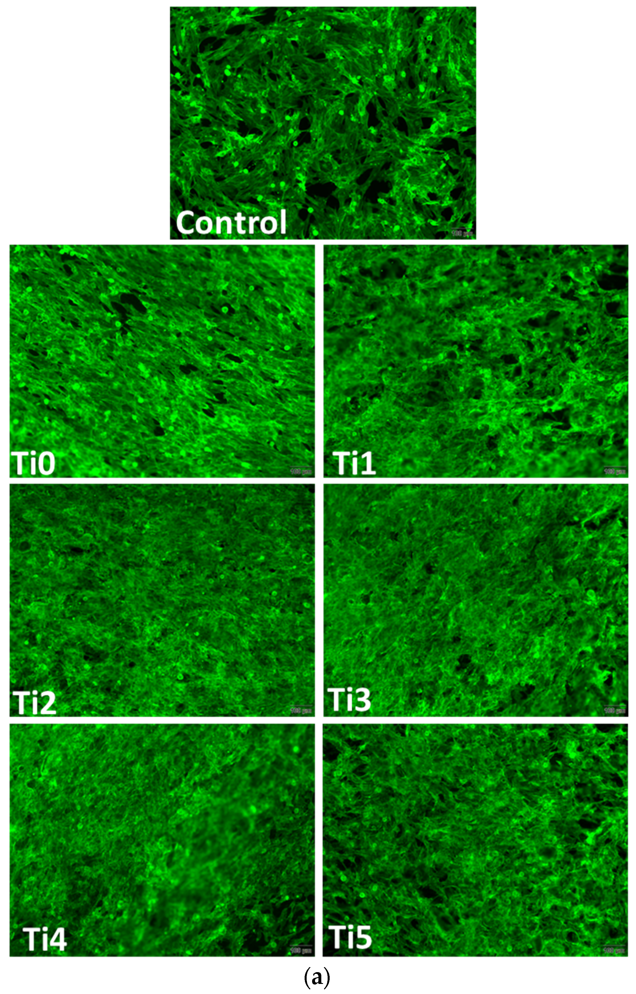 Dentistry 14 00006 g004a