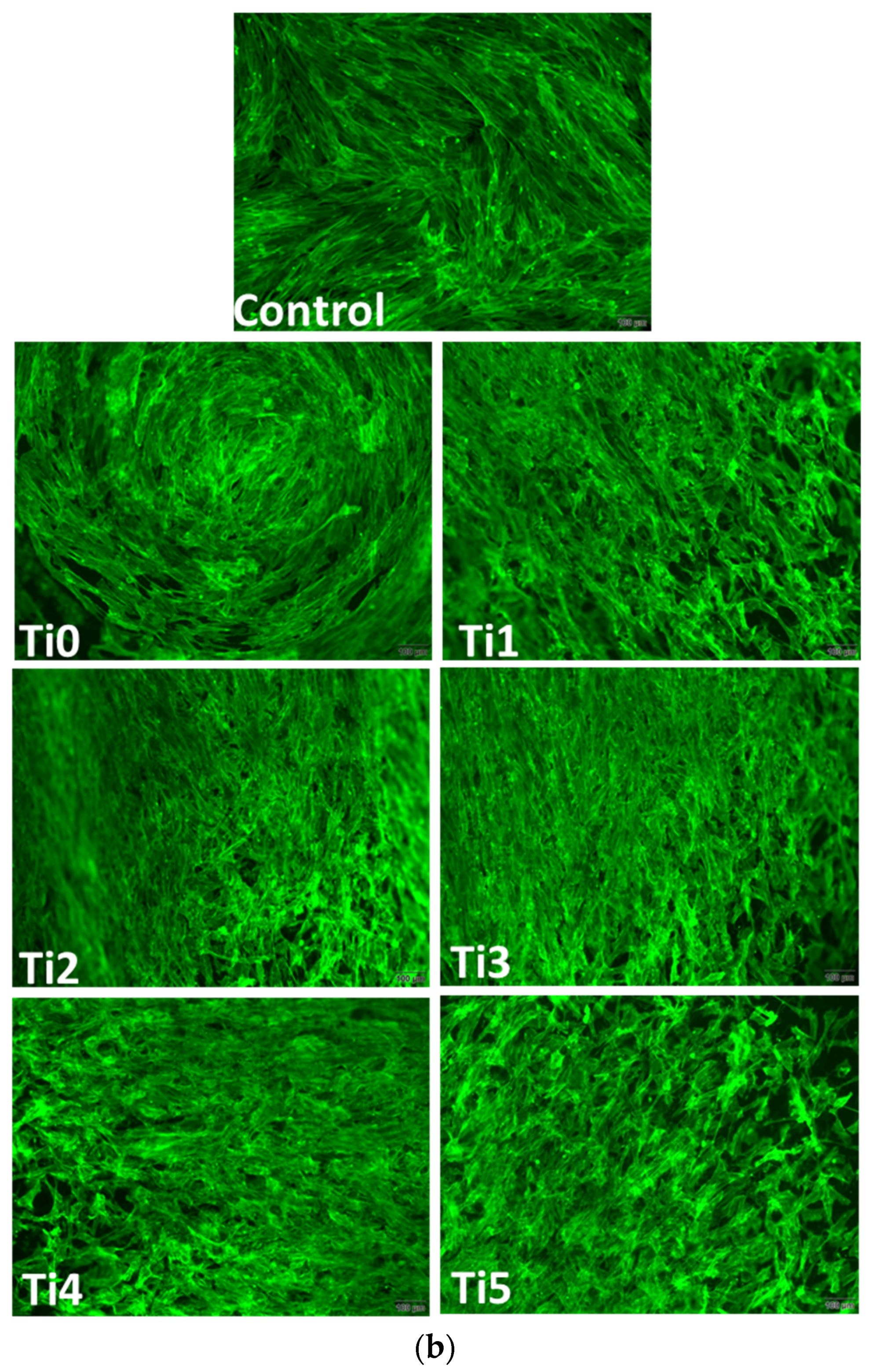 Dentistry 14 00006 g004b