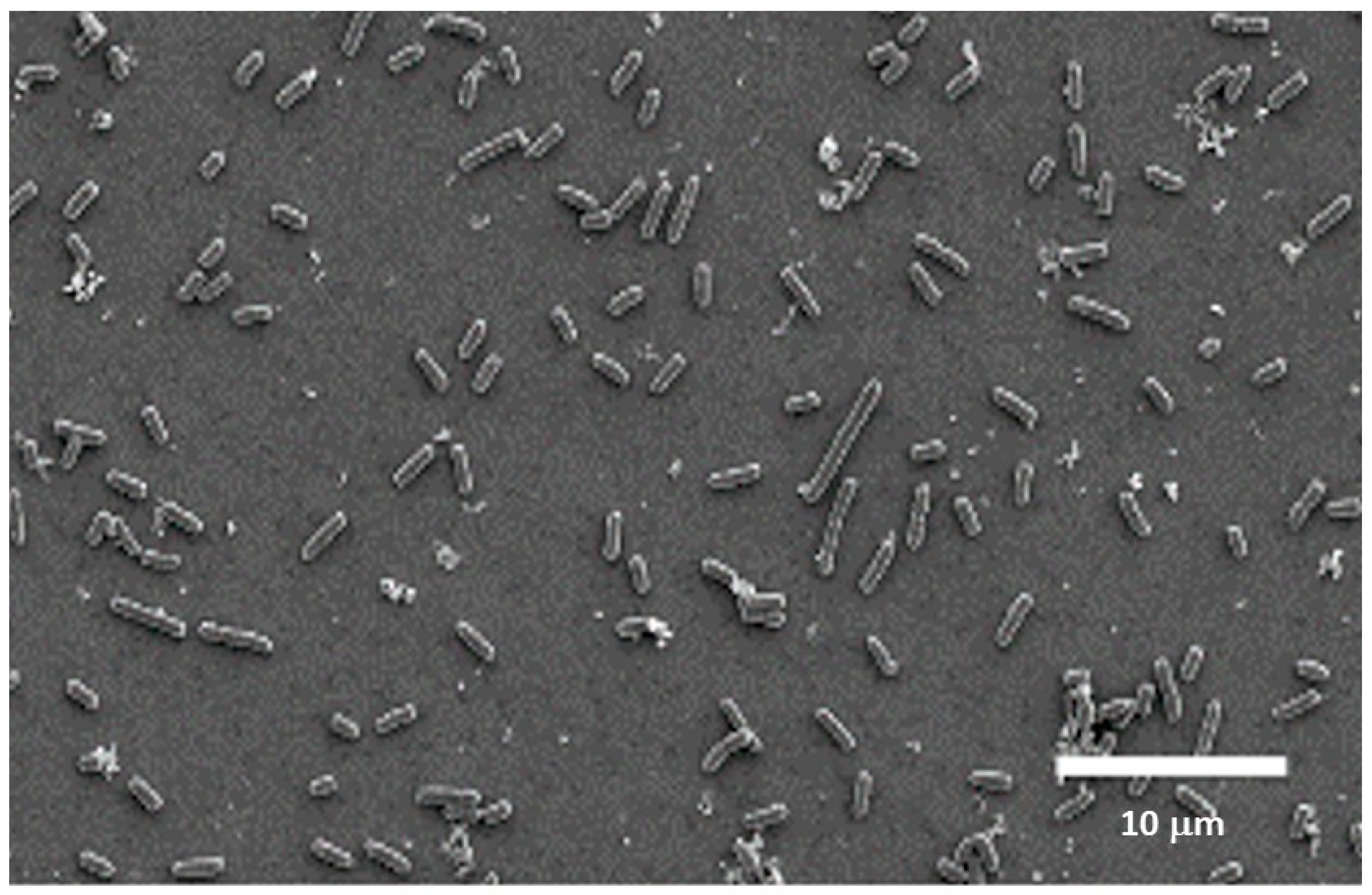 Dentistry 14 00008 g004