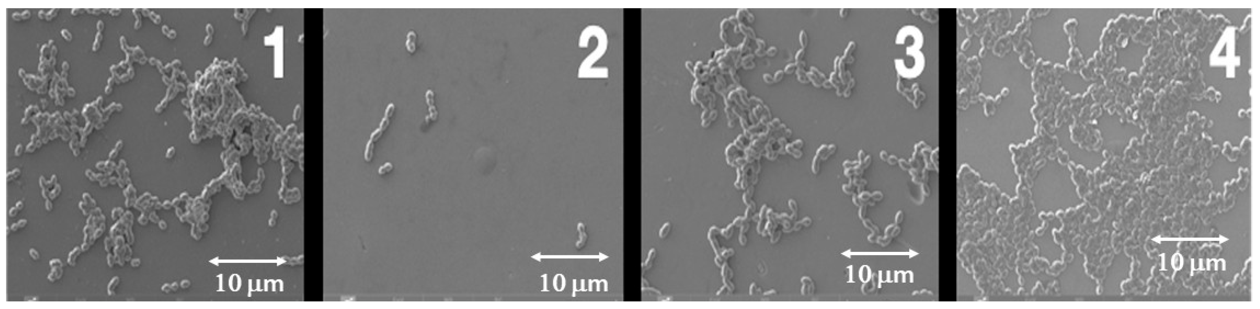 Dentistry 14 00008 g005