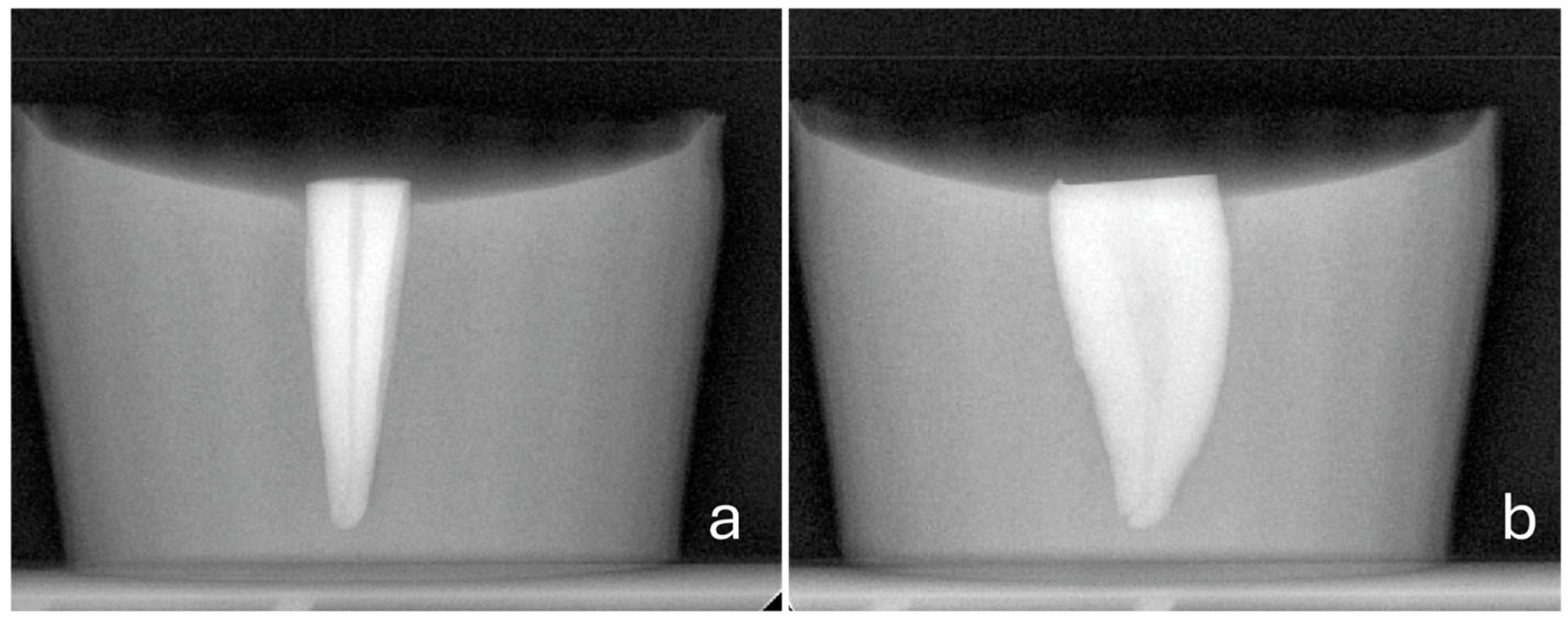 Dentistry 14 00012 g001 Dentistry 14 00012 g001