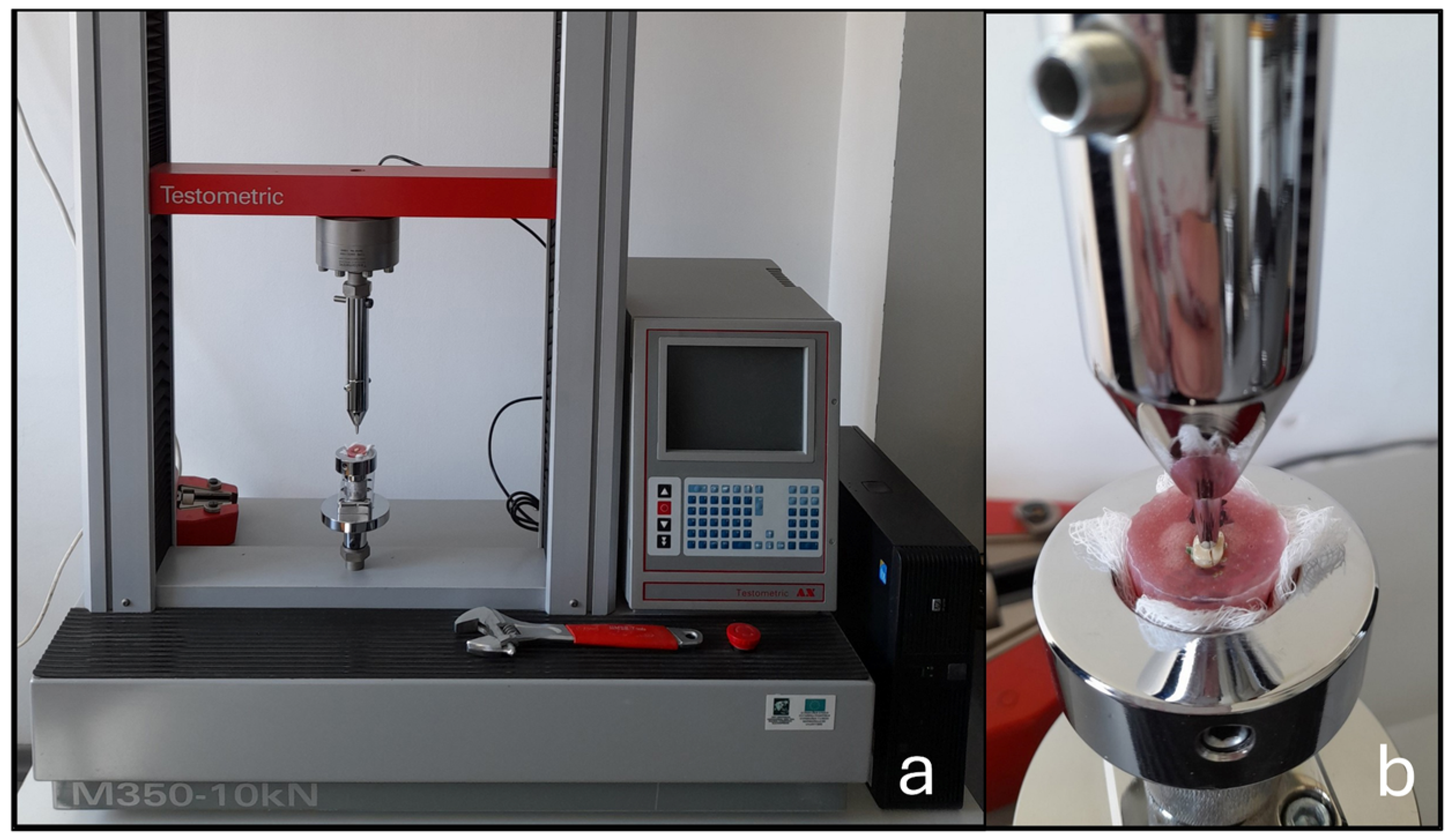 Dentistry 14 00012 g004 Dentistry 14 00012 g004