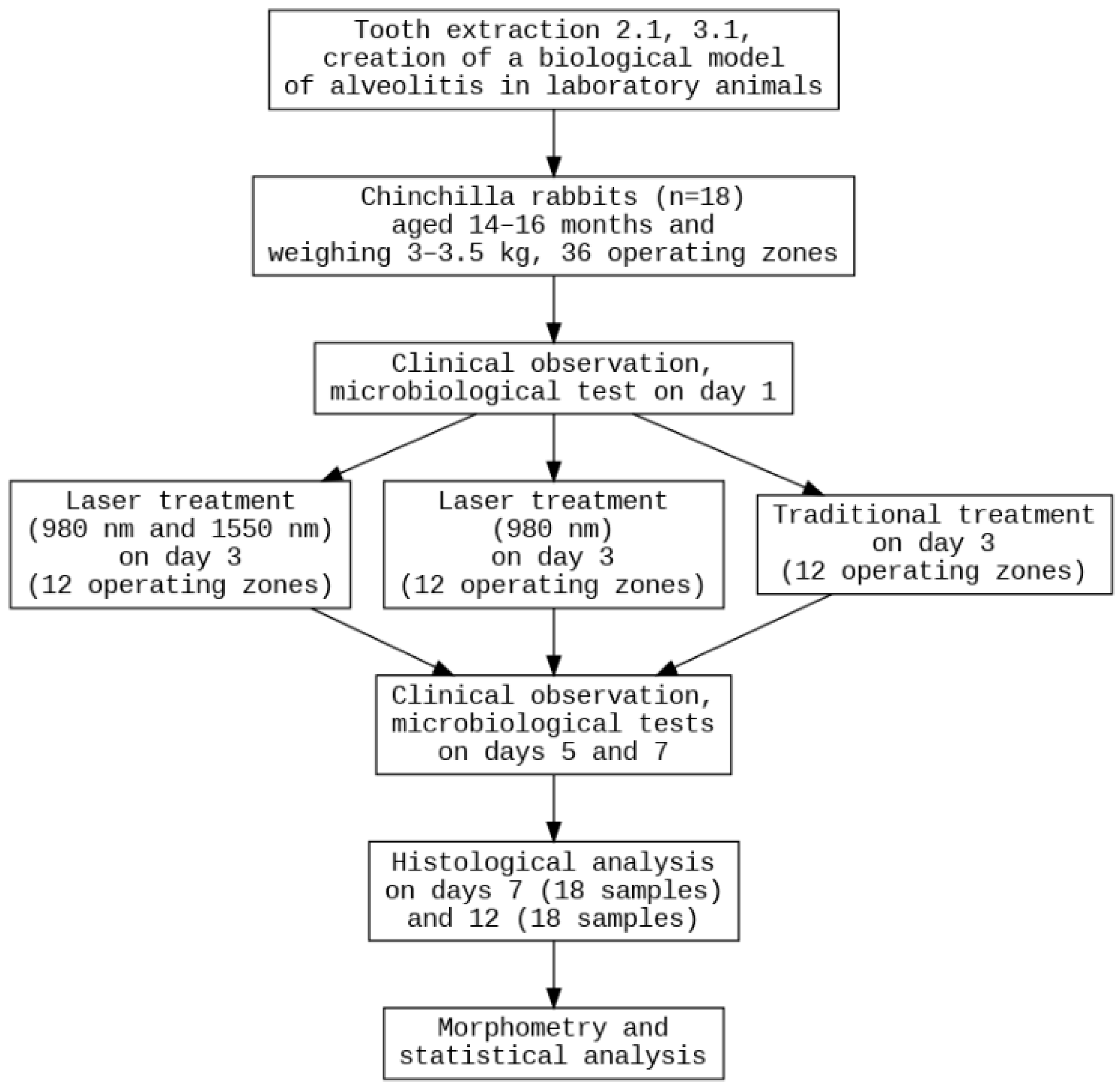 Dentistry 14 00017 g001