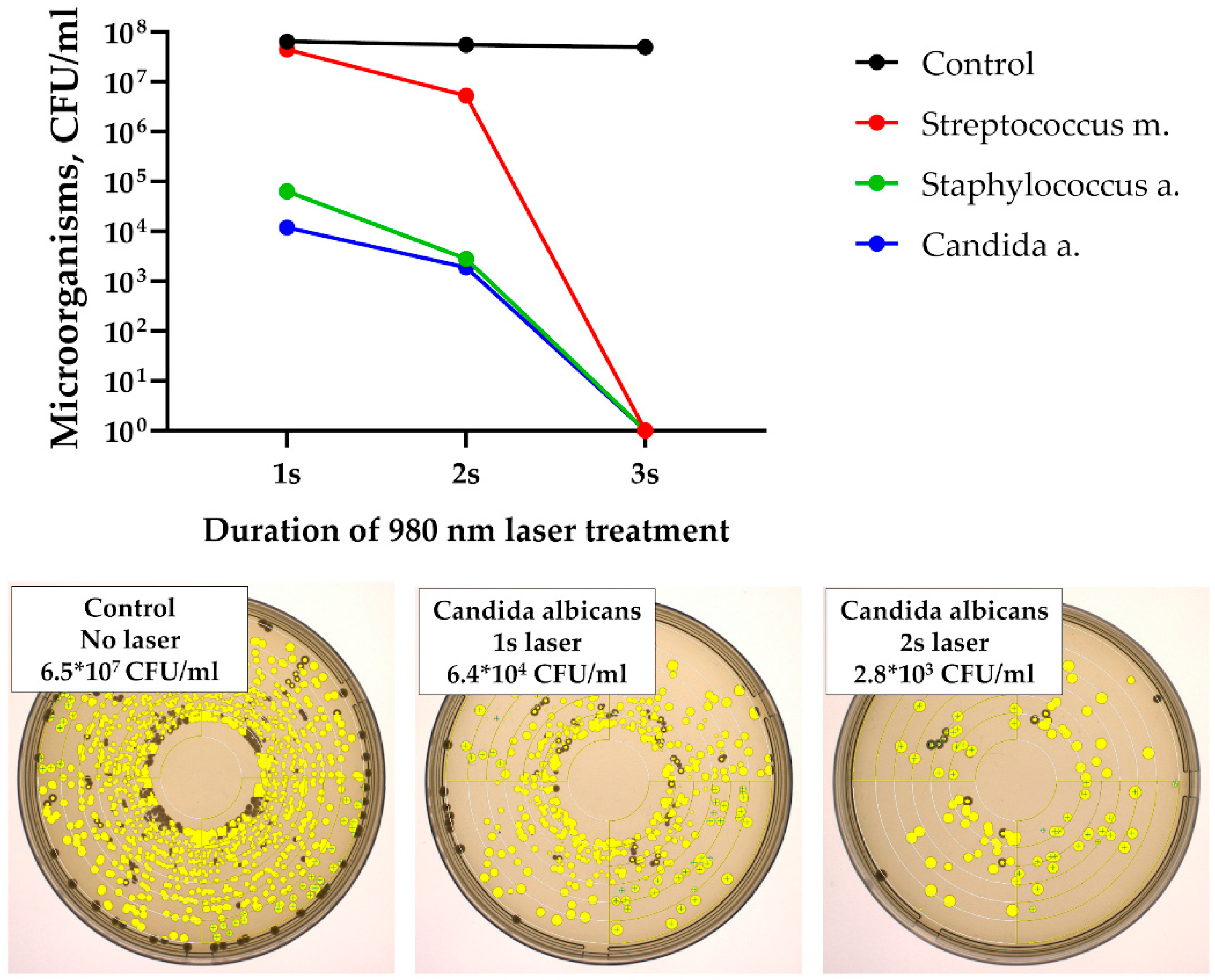 Dentistry 14 00017 g006