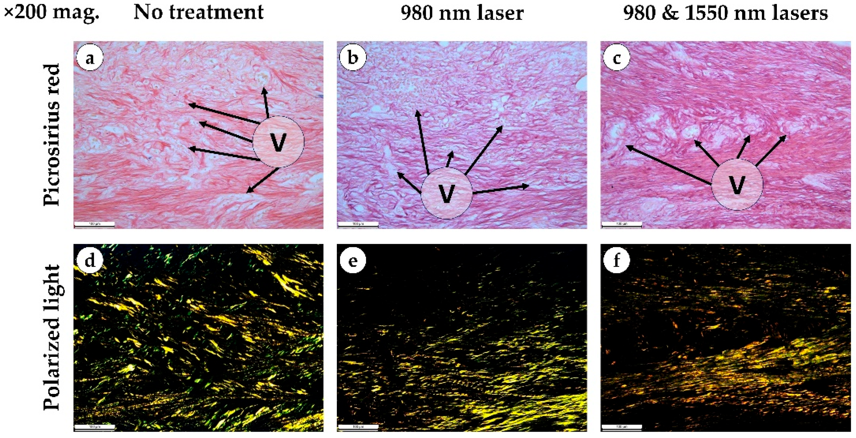 Dentistry 14 00017 g0a1