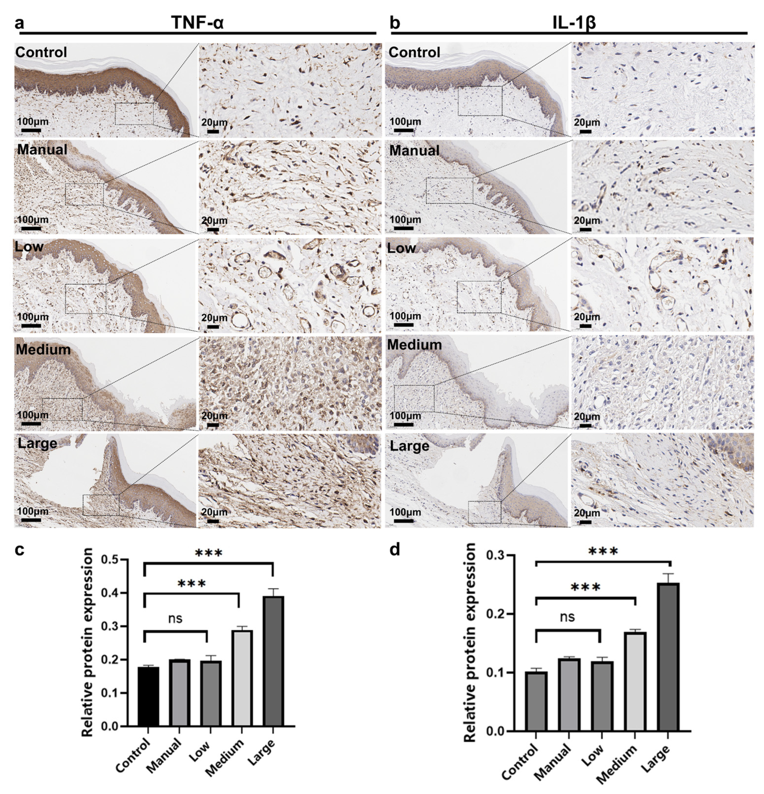 Dentistry 14 00029 g004 Dentistry 14 00029 g004