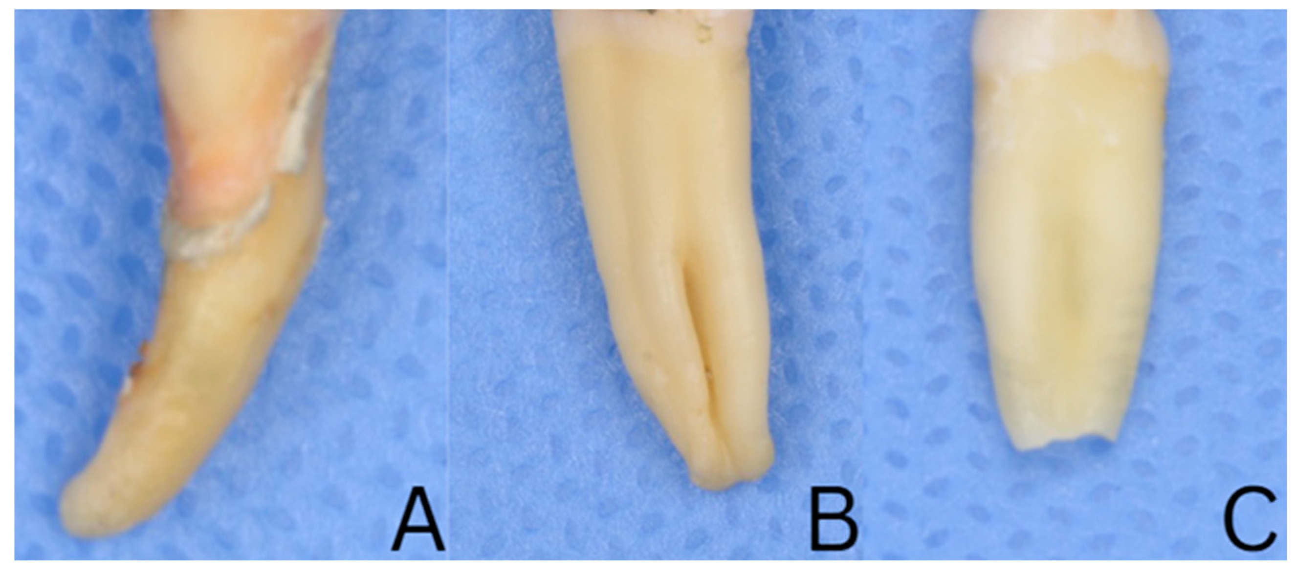 Dentistry 14 00038 g001