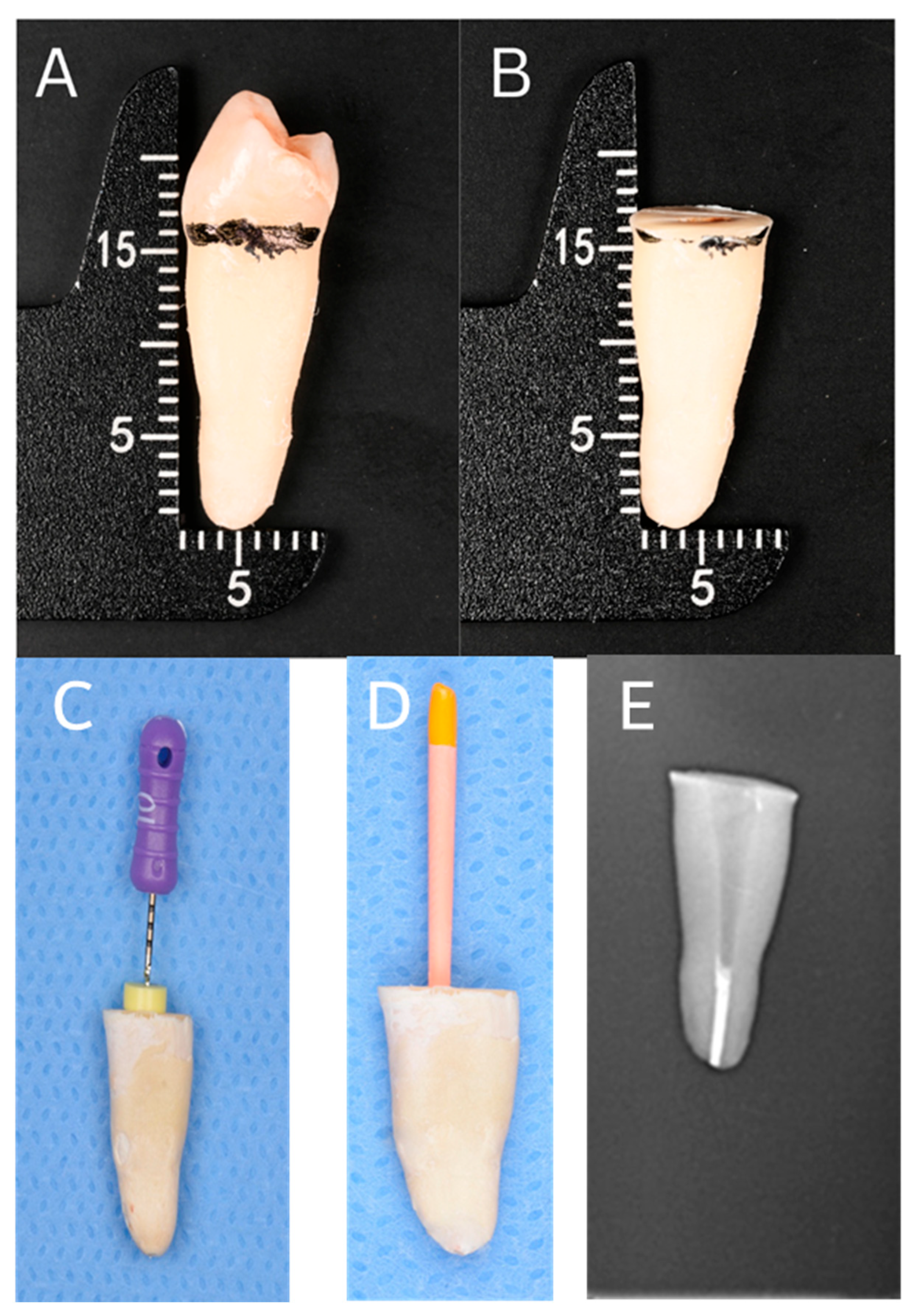 Dentistry 14 00038 g002