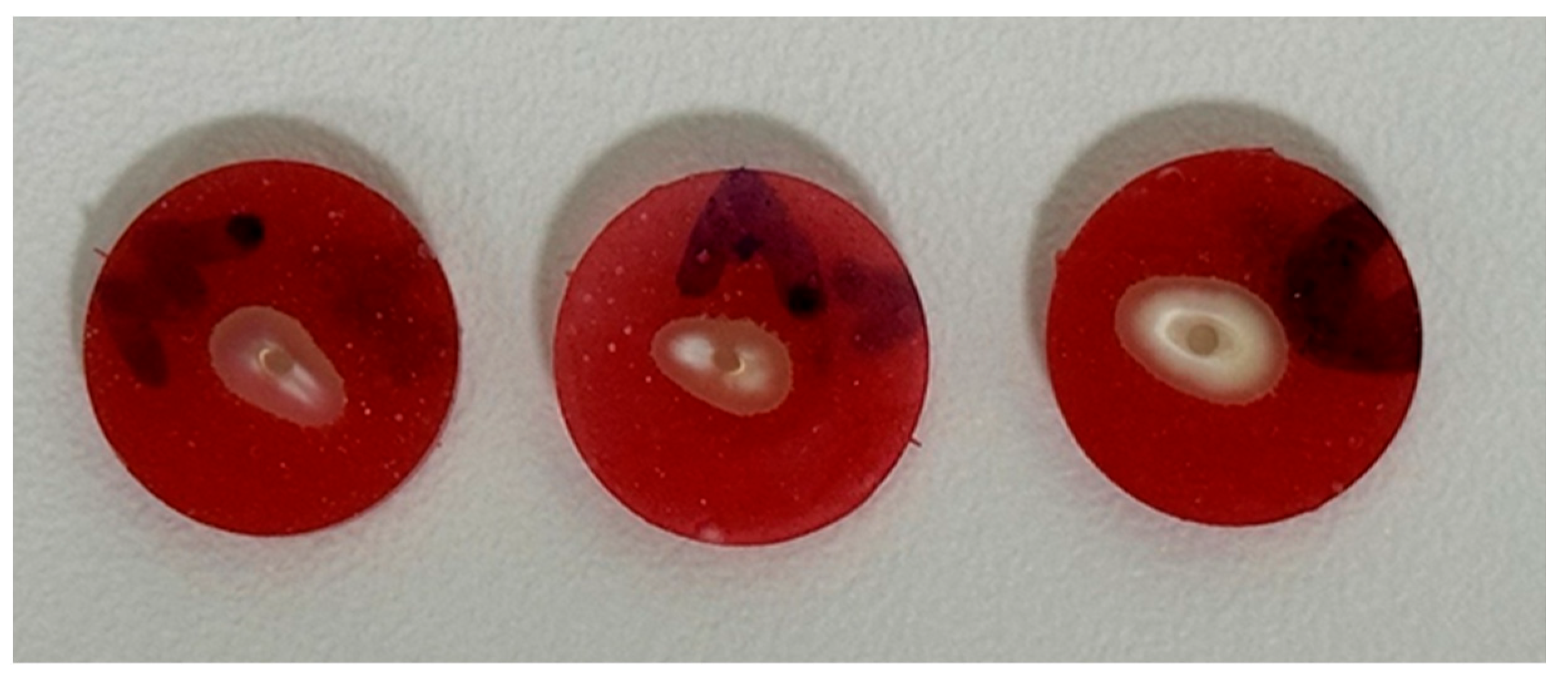 Dentistry 14 00038 g004