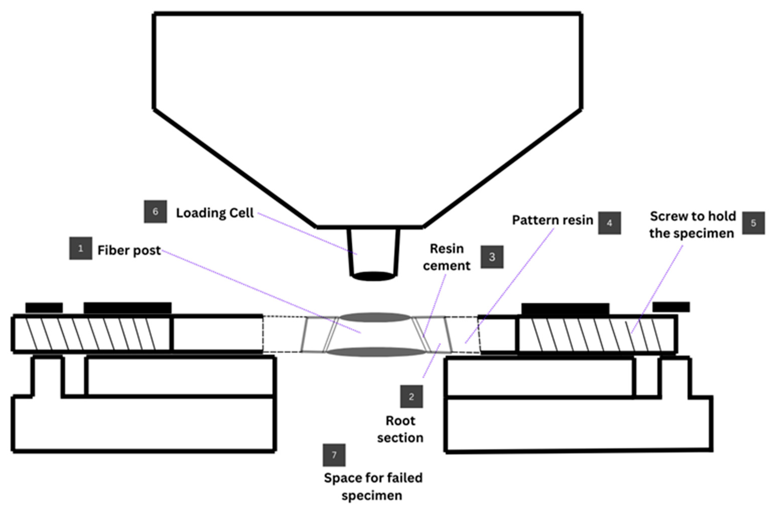 Dentistry 14 00038 g006