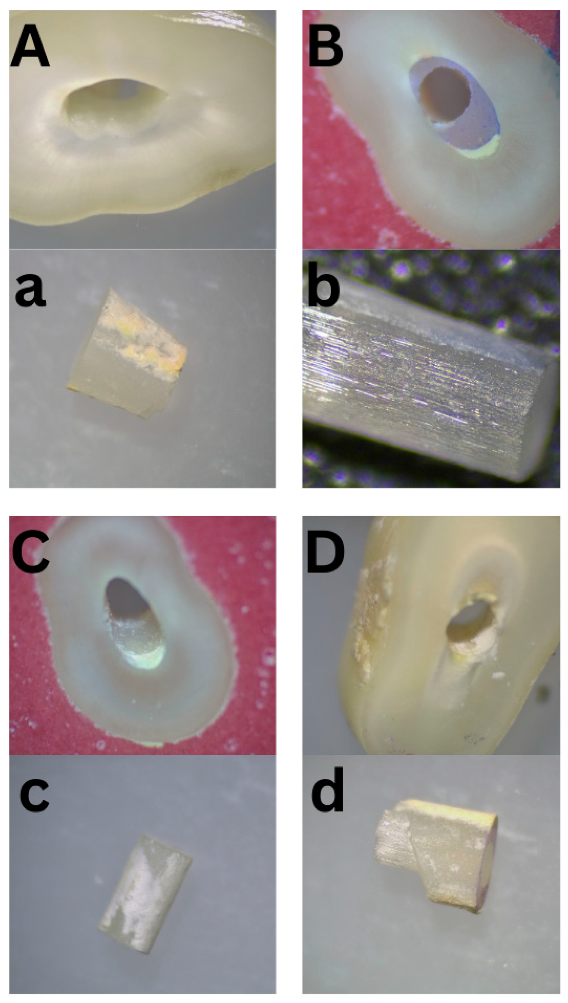Dentistry 14 00038 g008