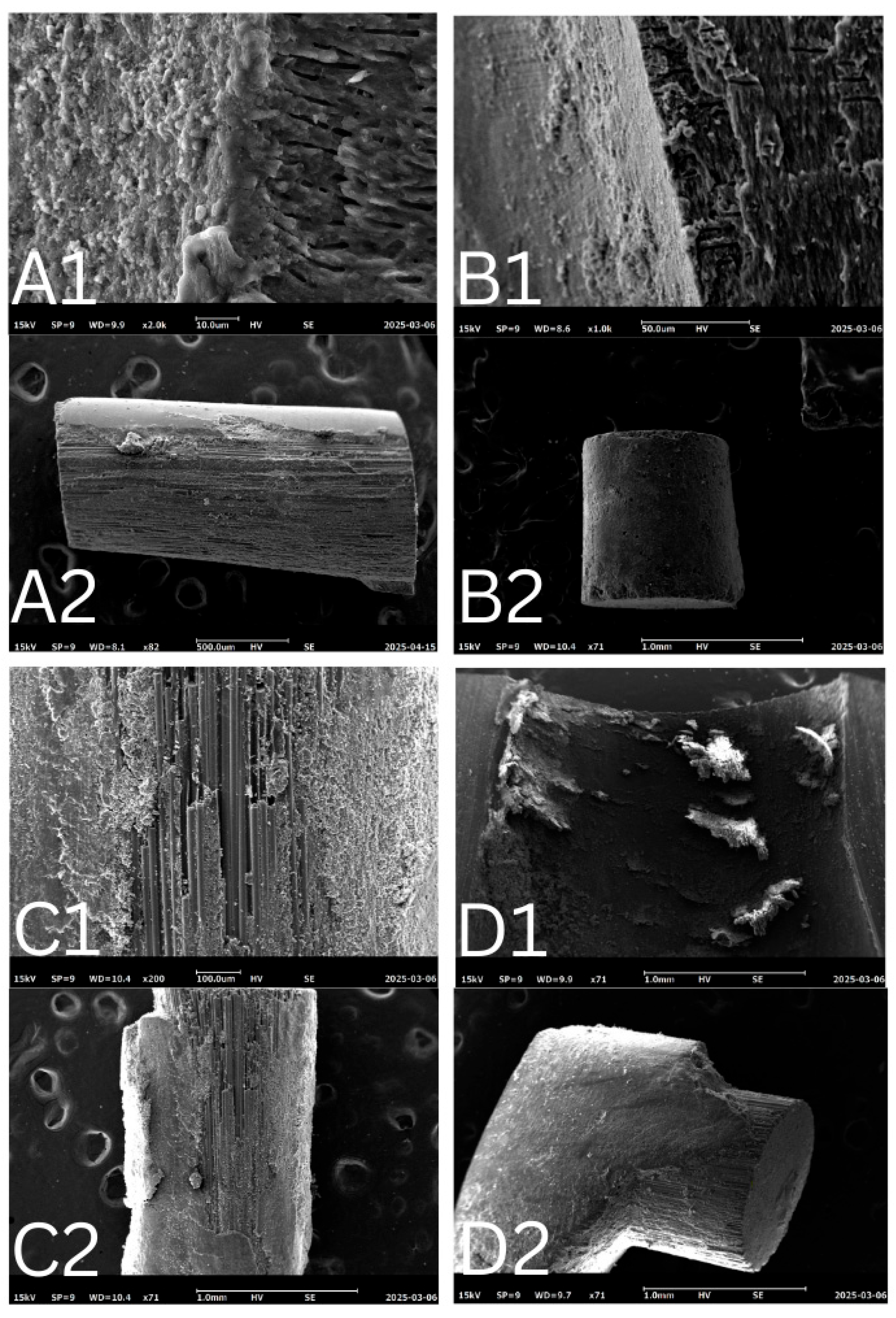 Dentistry 14 00038 g009