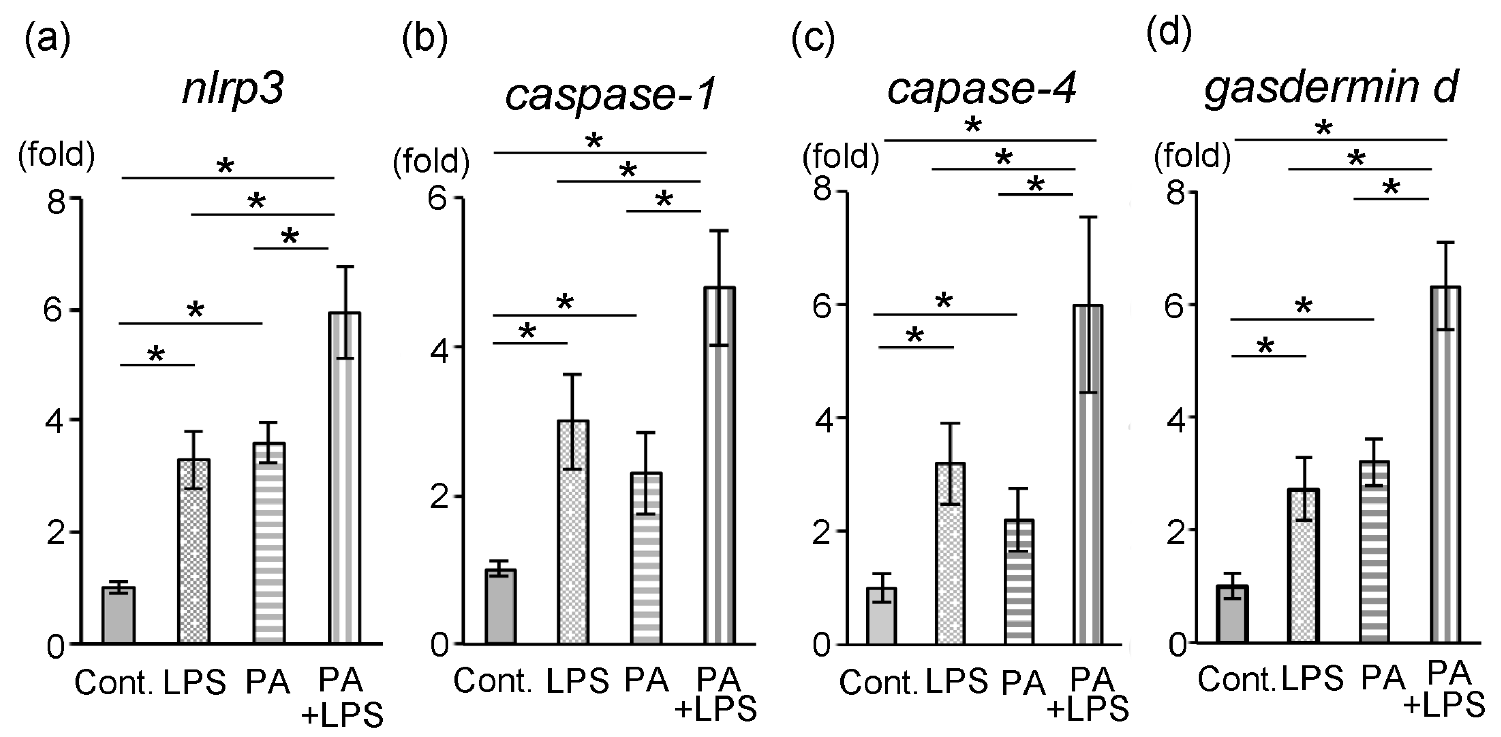 Dentistry 14 00051 g005