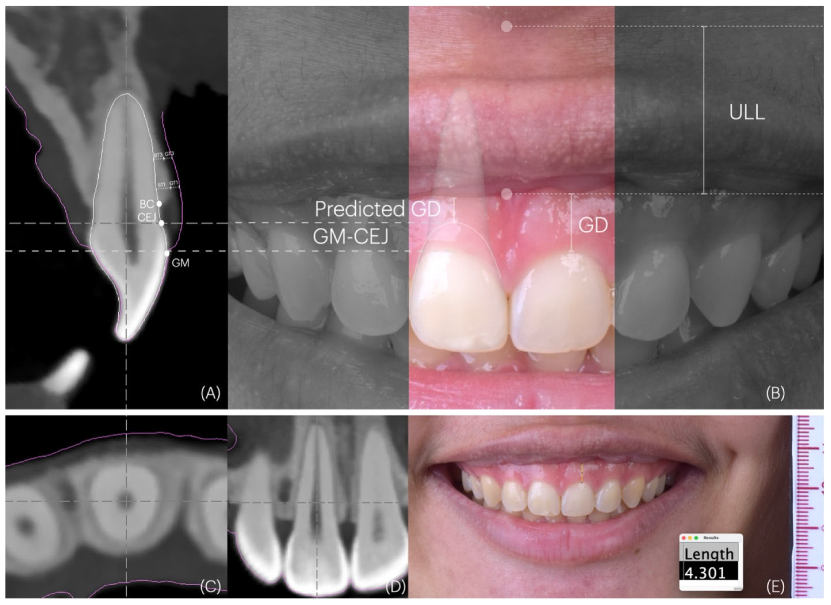 Dentistry 14 00067 g001