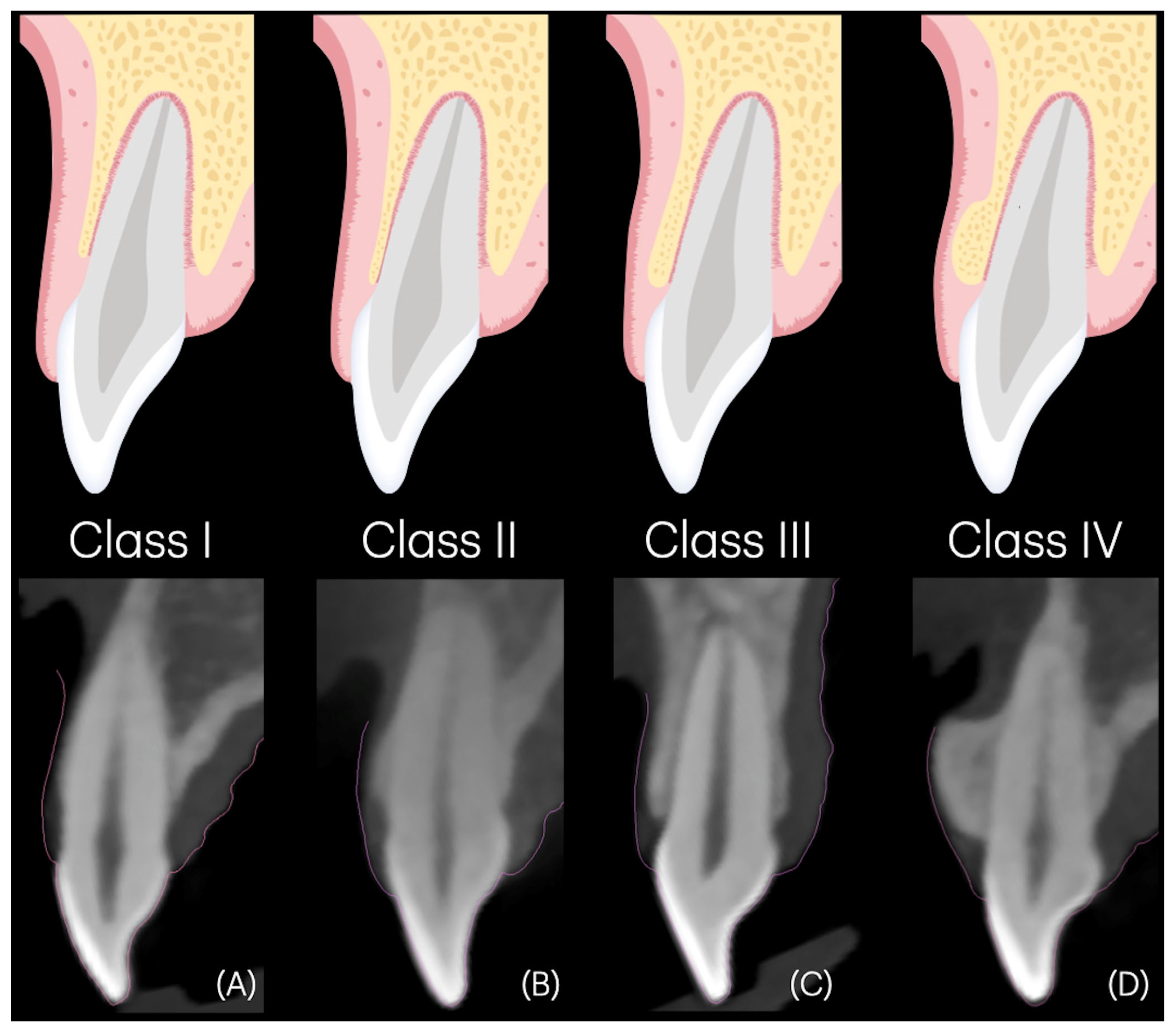 Dentistry 14 00067 g002