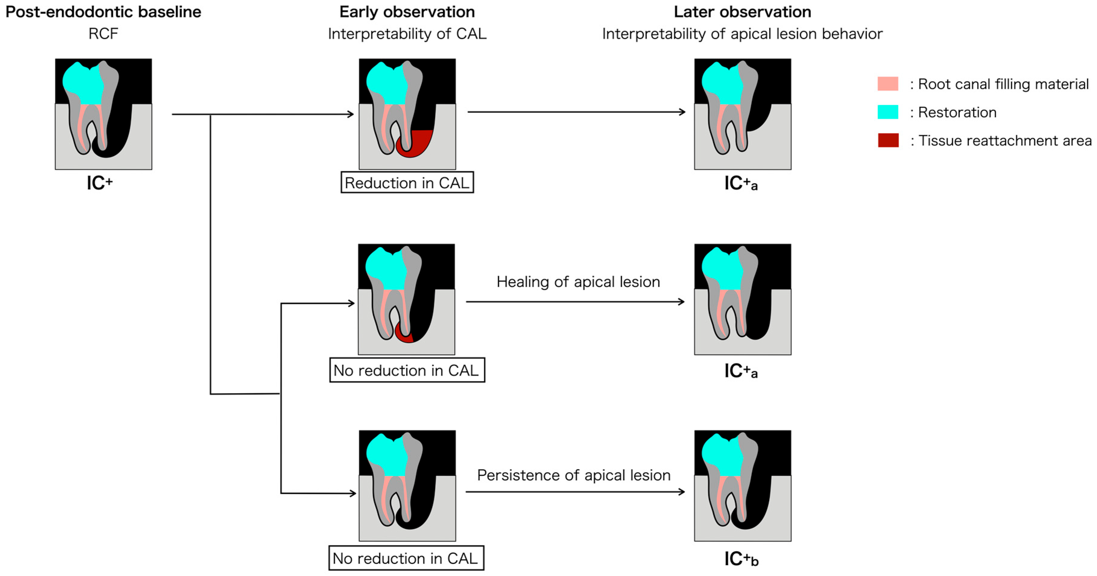 Dentistry 14 00158 g003