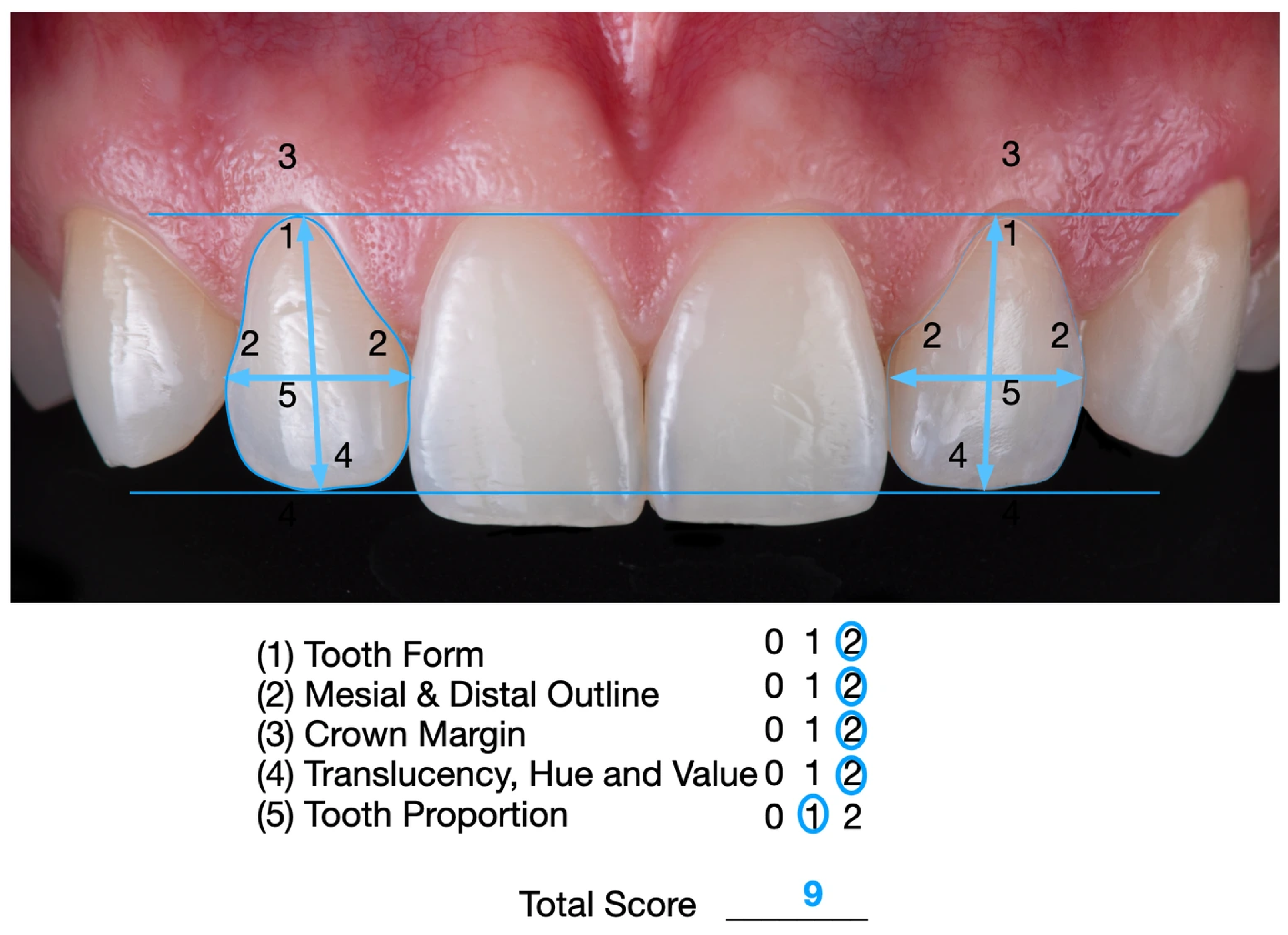 Dentistry 14 00186 g010