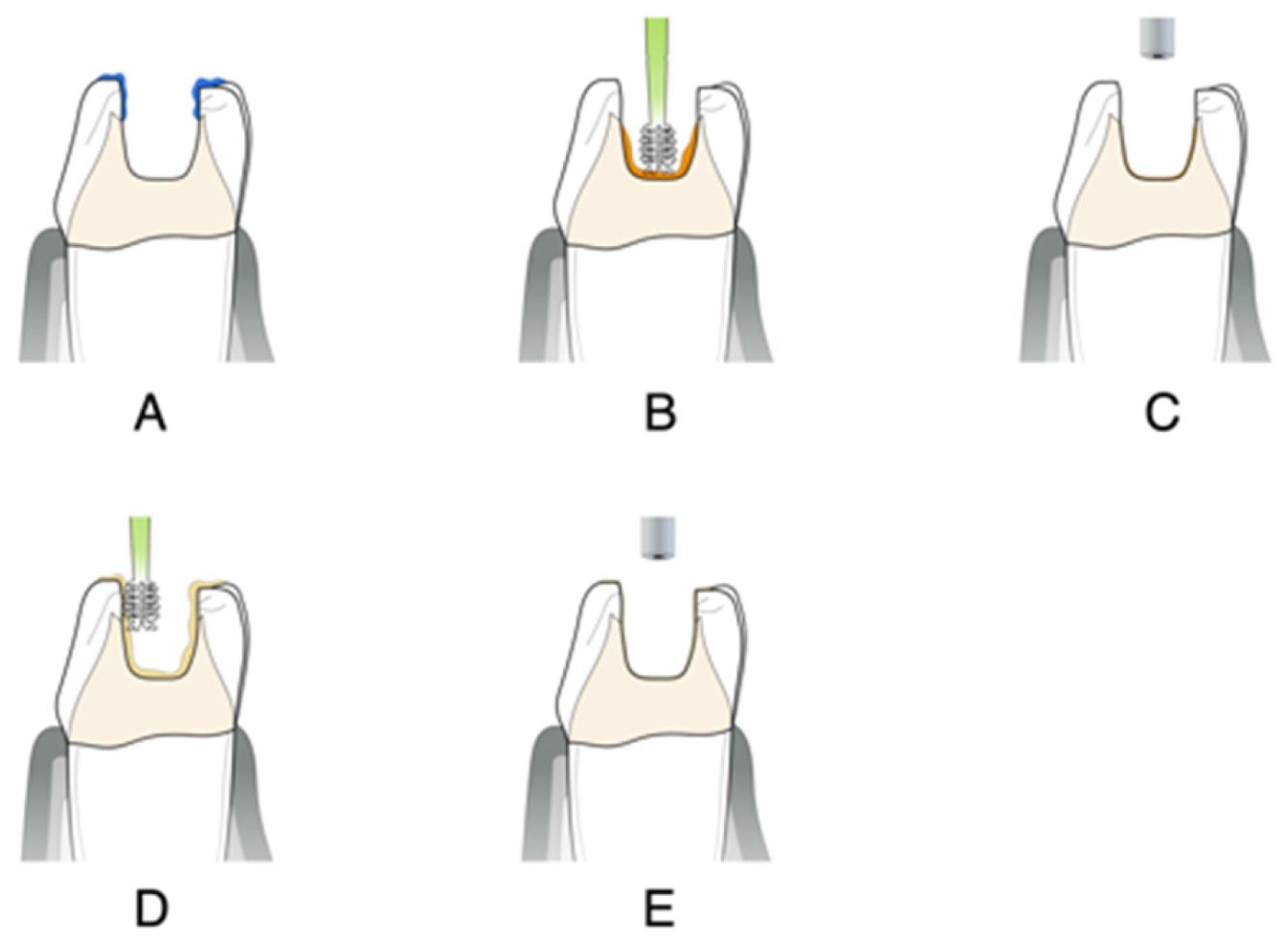 Dentistry 14 00189 g009