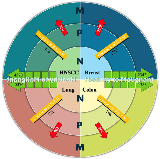 A Pan-Cancer Transcriptomic Signature for Conserved Molecular