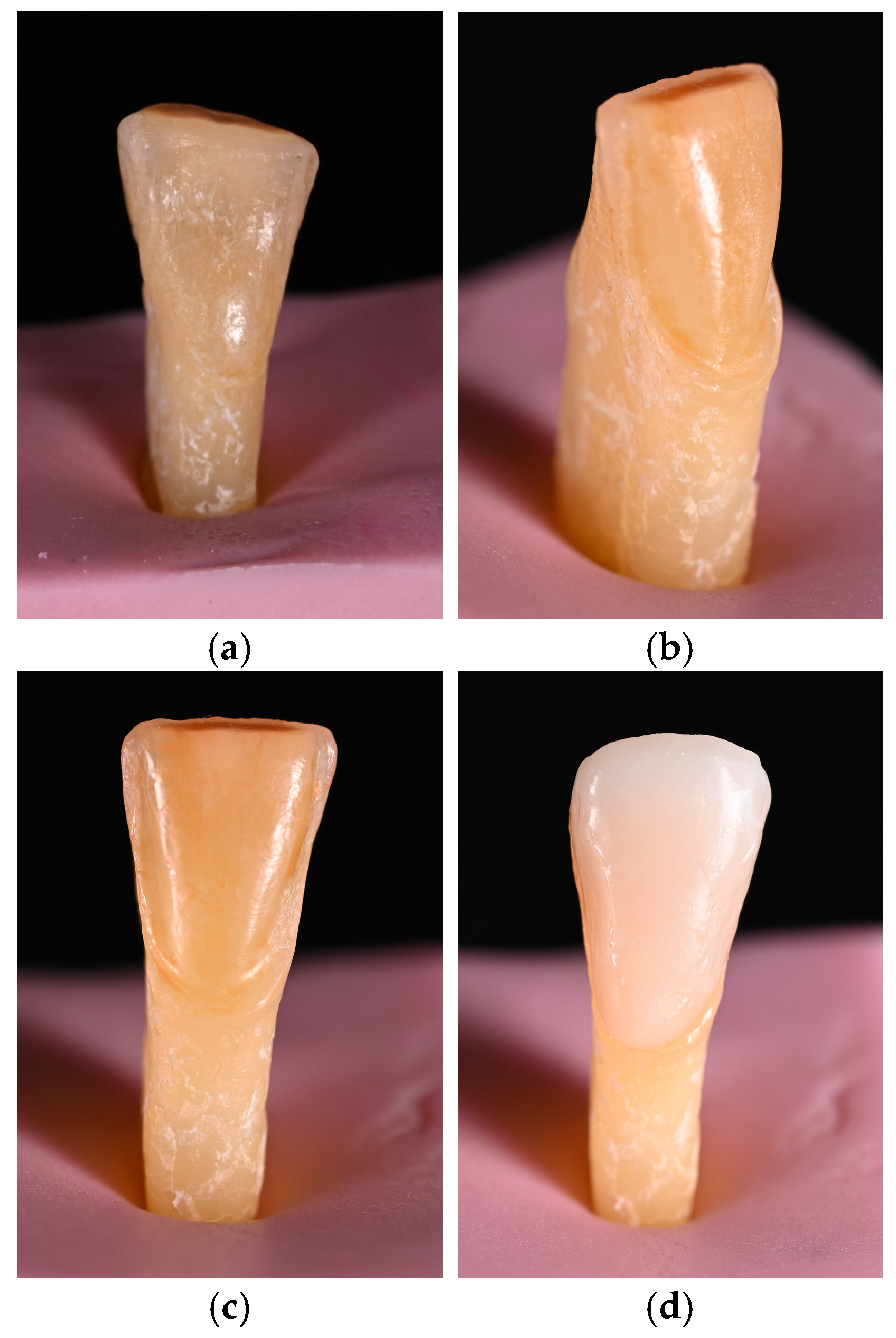 Dentistry 14 00349 g001