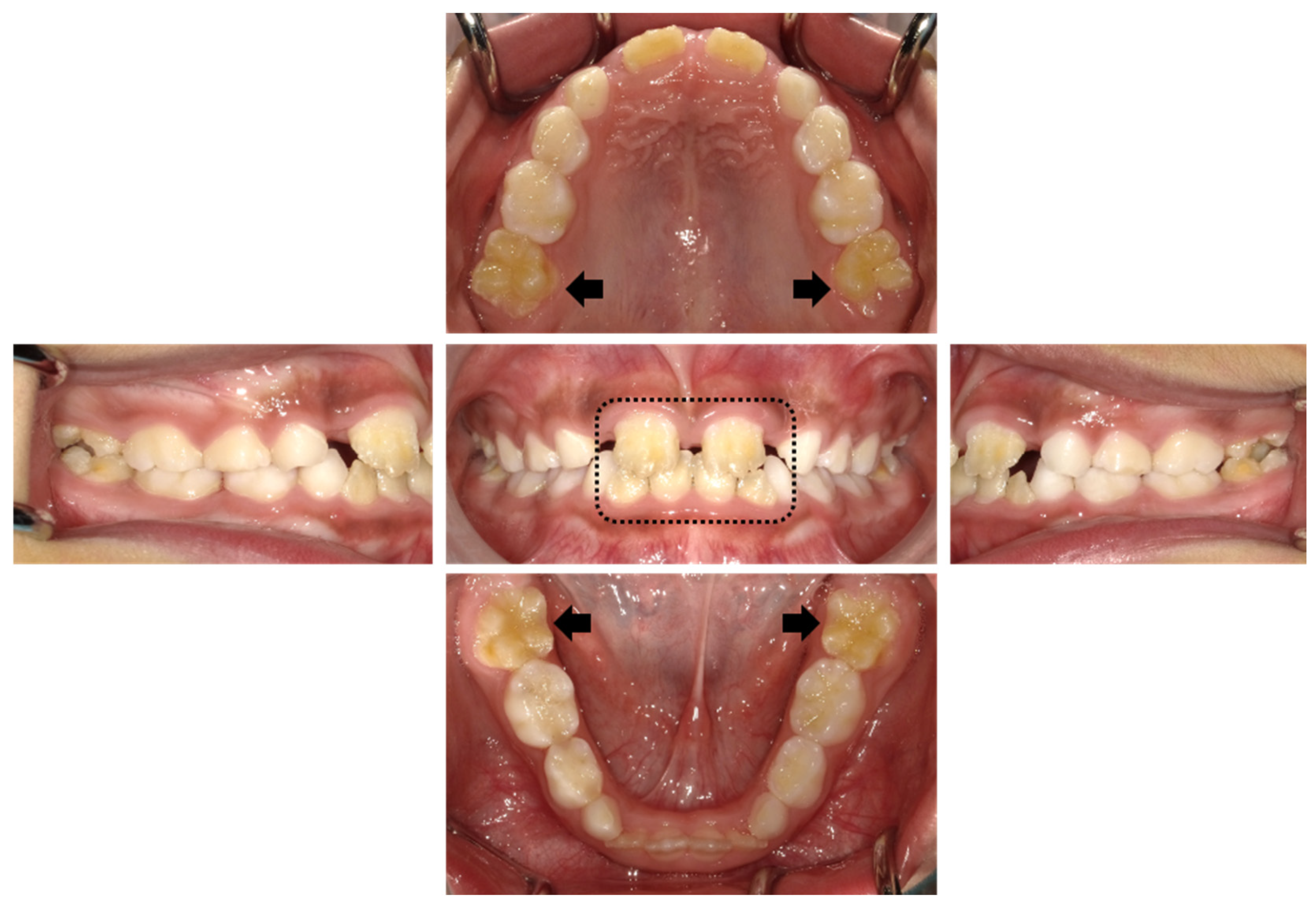 Dentistry 14 00399 g002