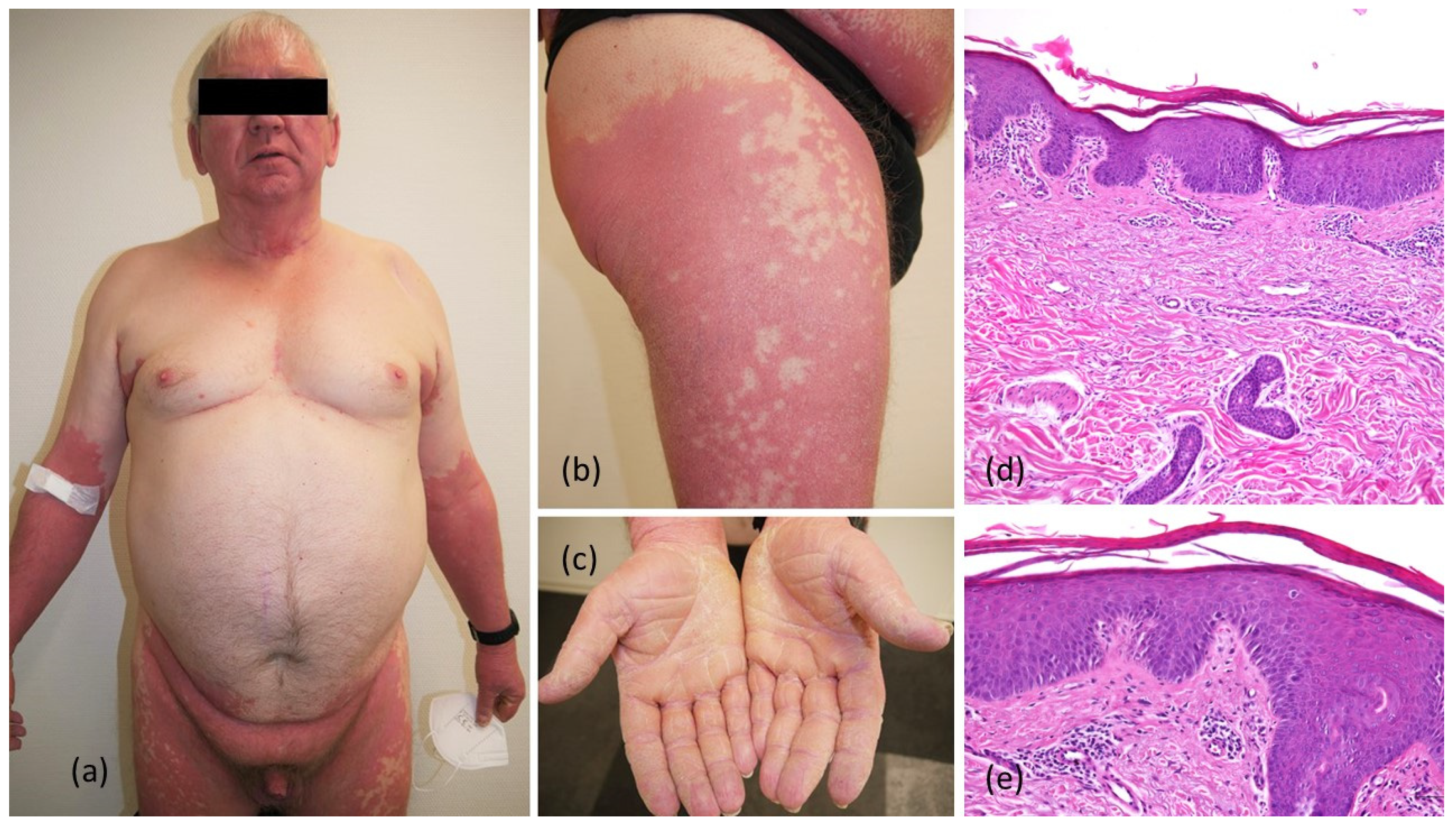 Dermato 02 00008 g001 550