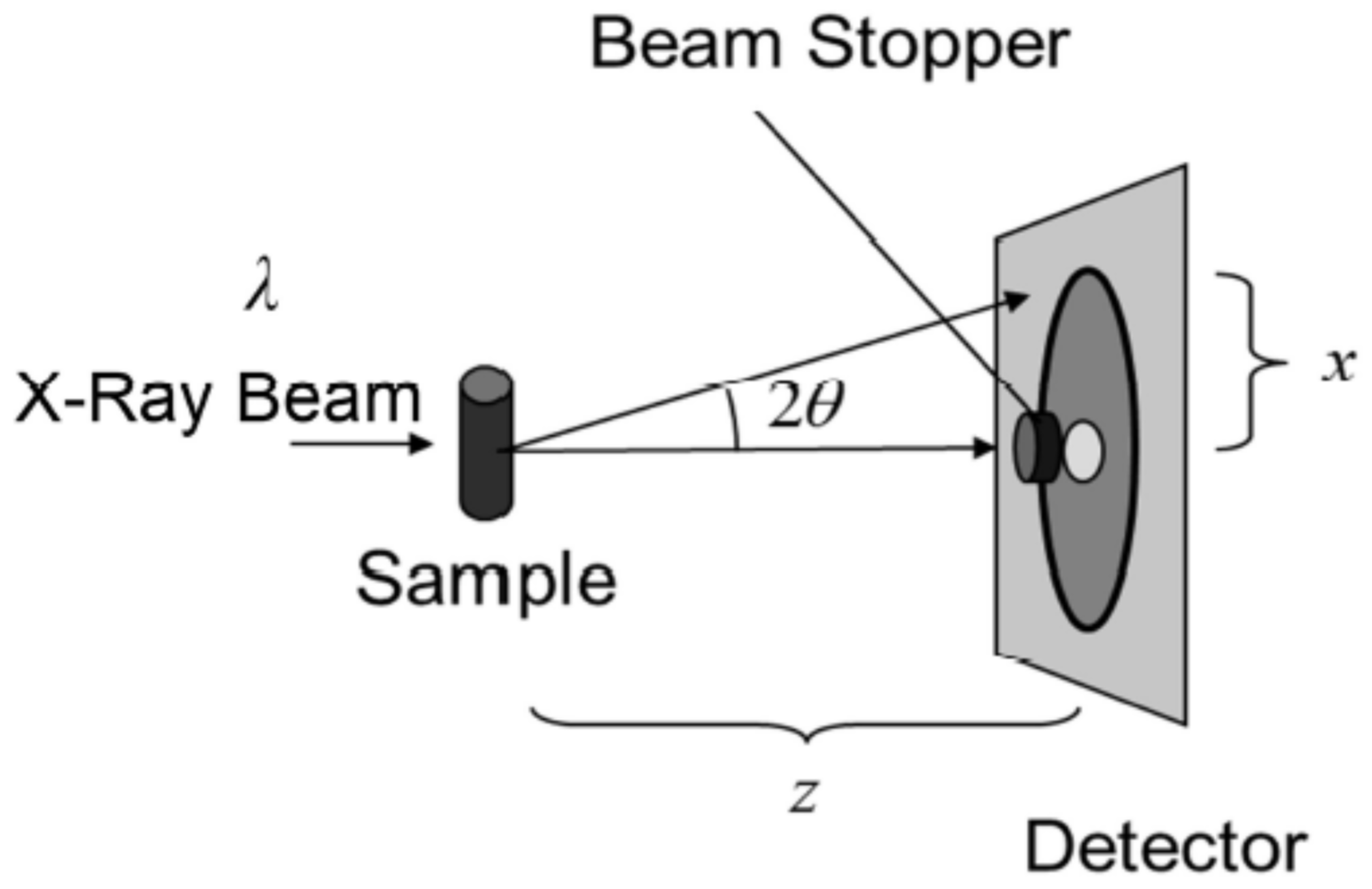 Dermato 02 00009 g005