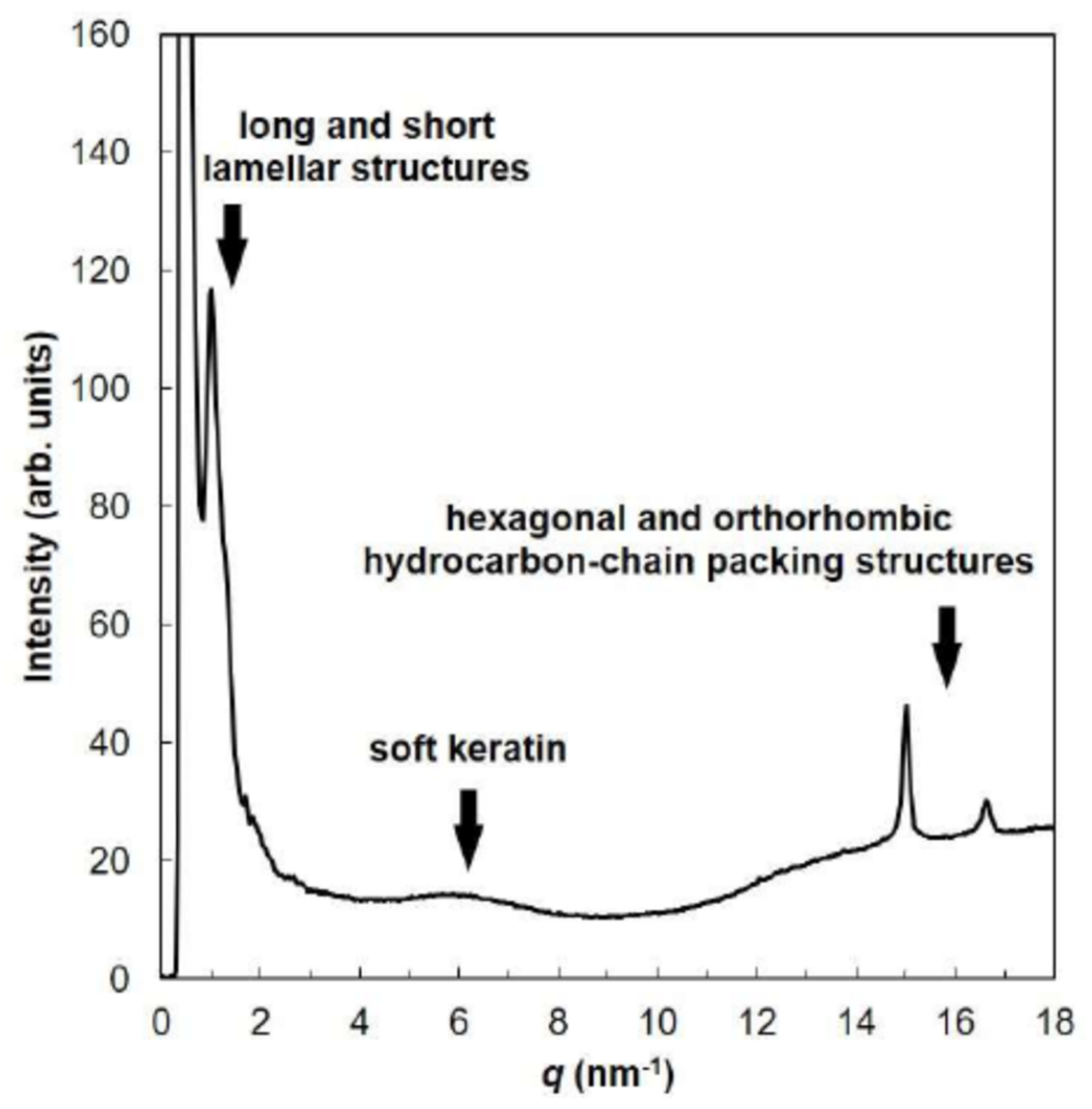 Dermato 02 00009 g006