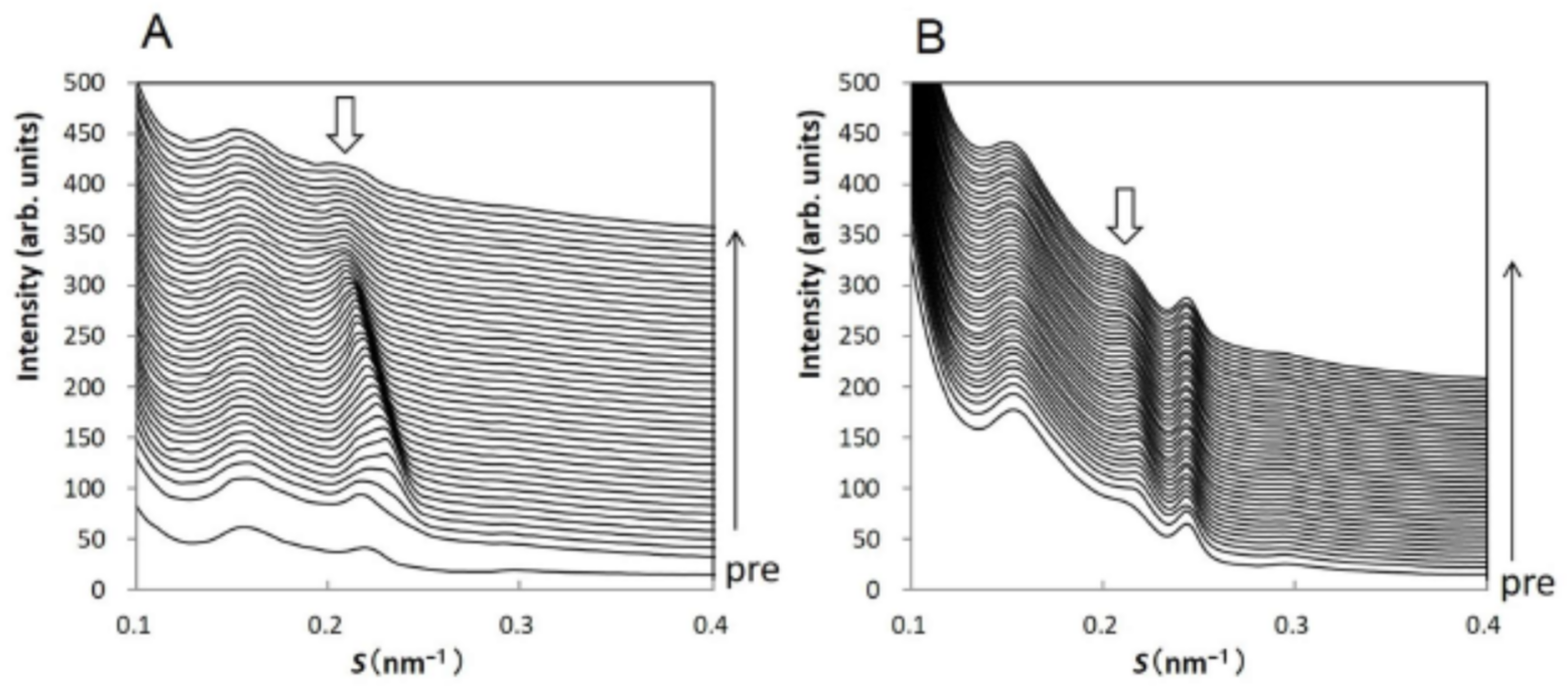 Dermato 02 00009 g009