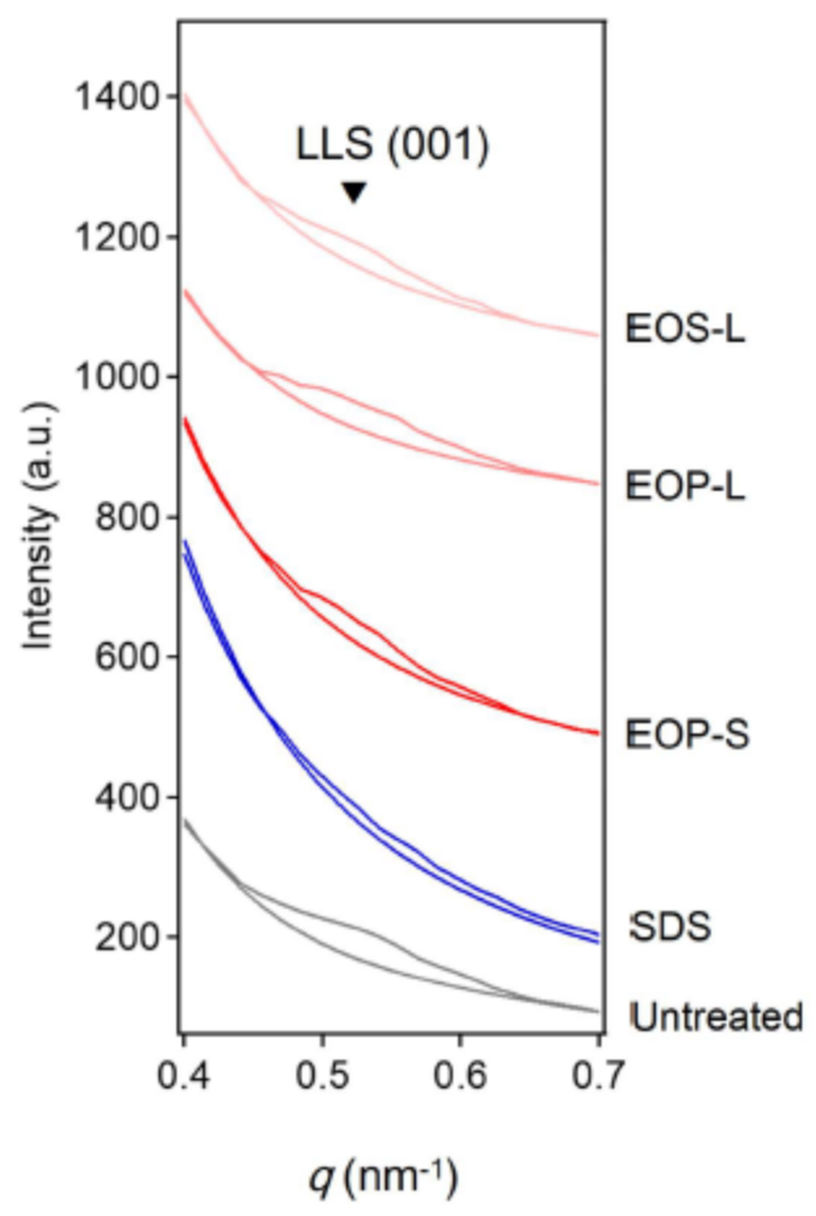 Dermato 02 00009 g011