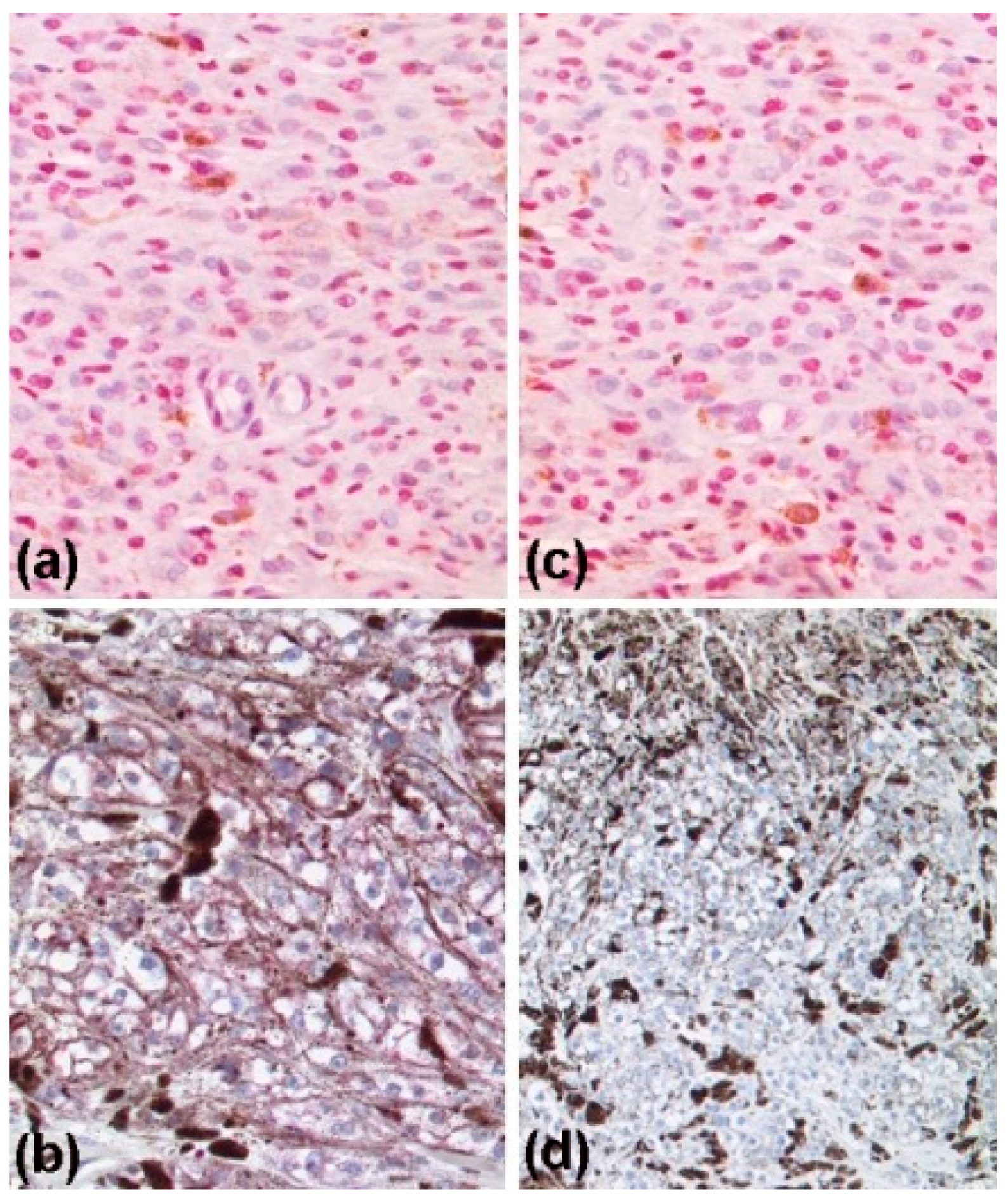 Dermato 03 00004 g004 Dermato 03 00004 g004