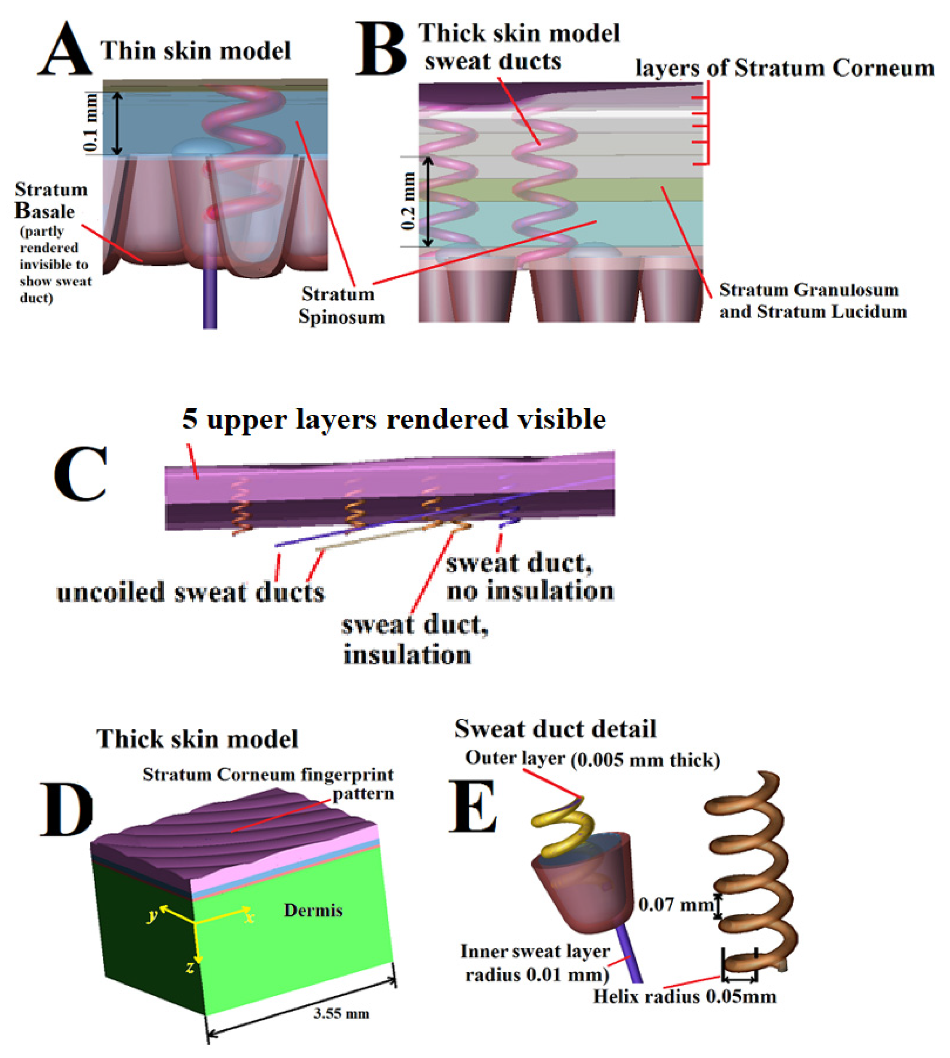 Dermato 03 00006 g002