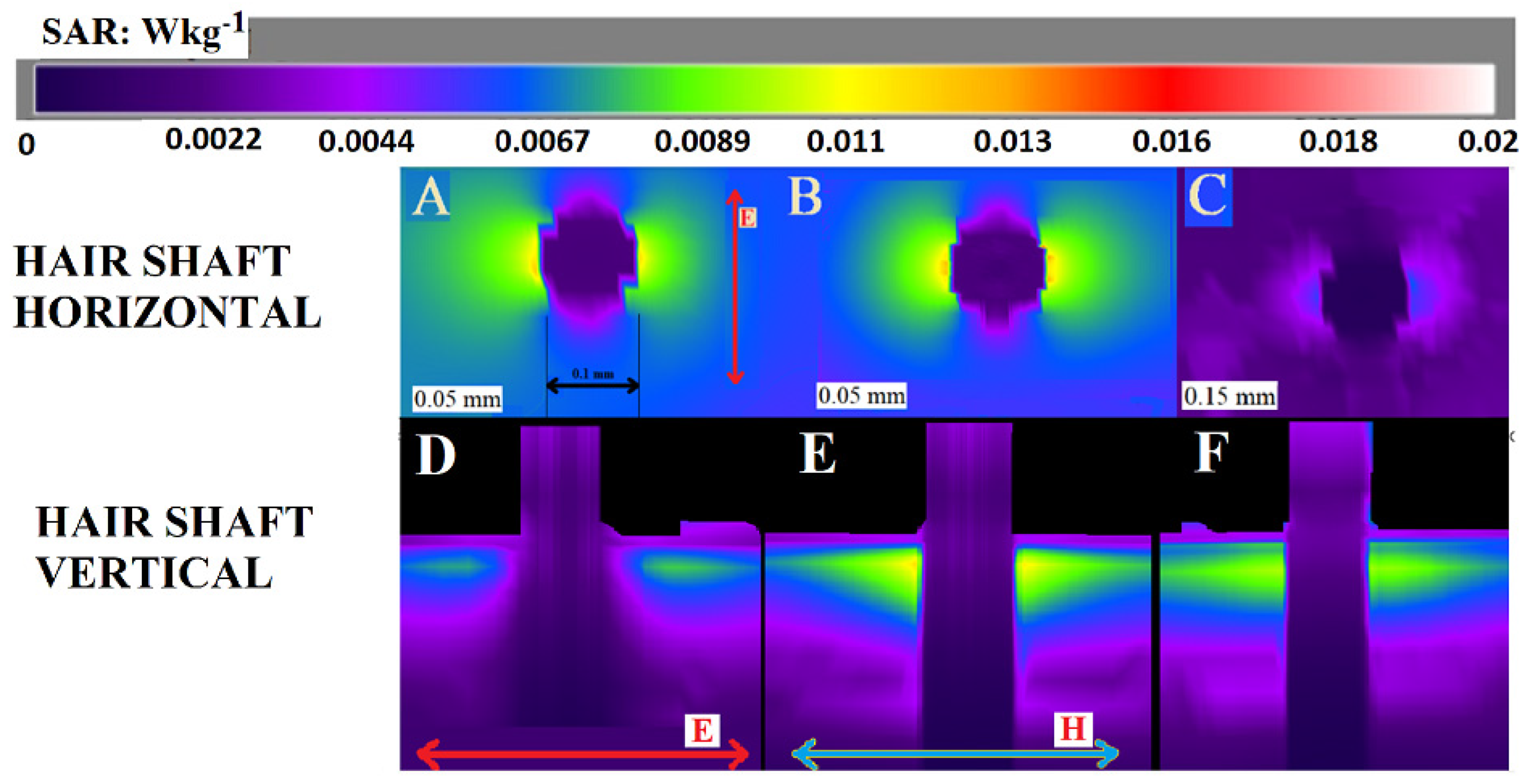 Dermato 03 00006 g003