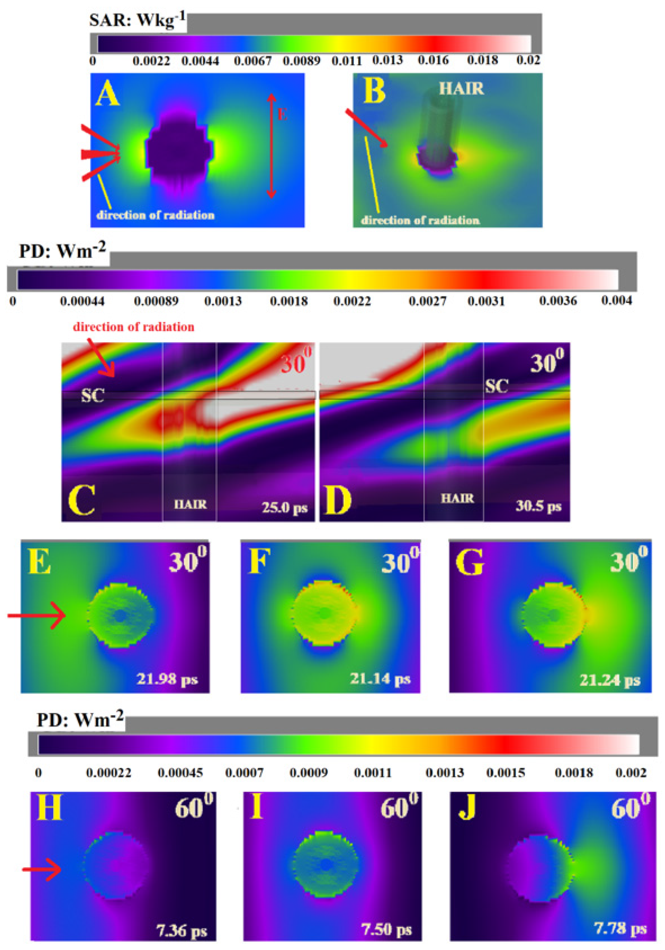Dermato 03 00006 g004