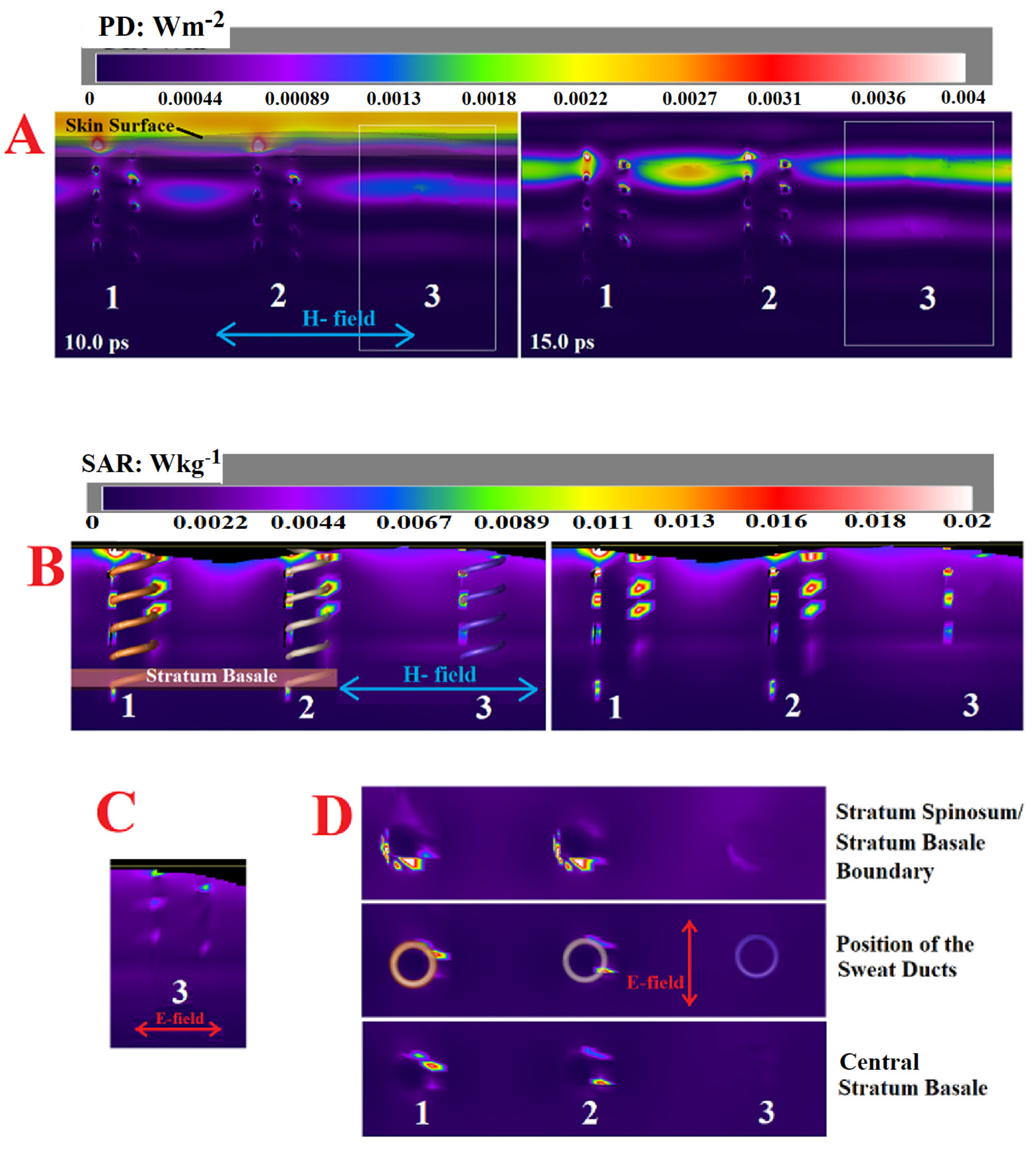 Dermato 03 00006 g006