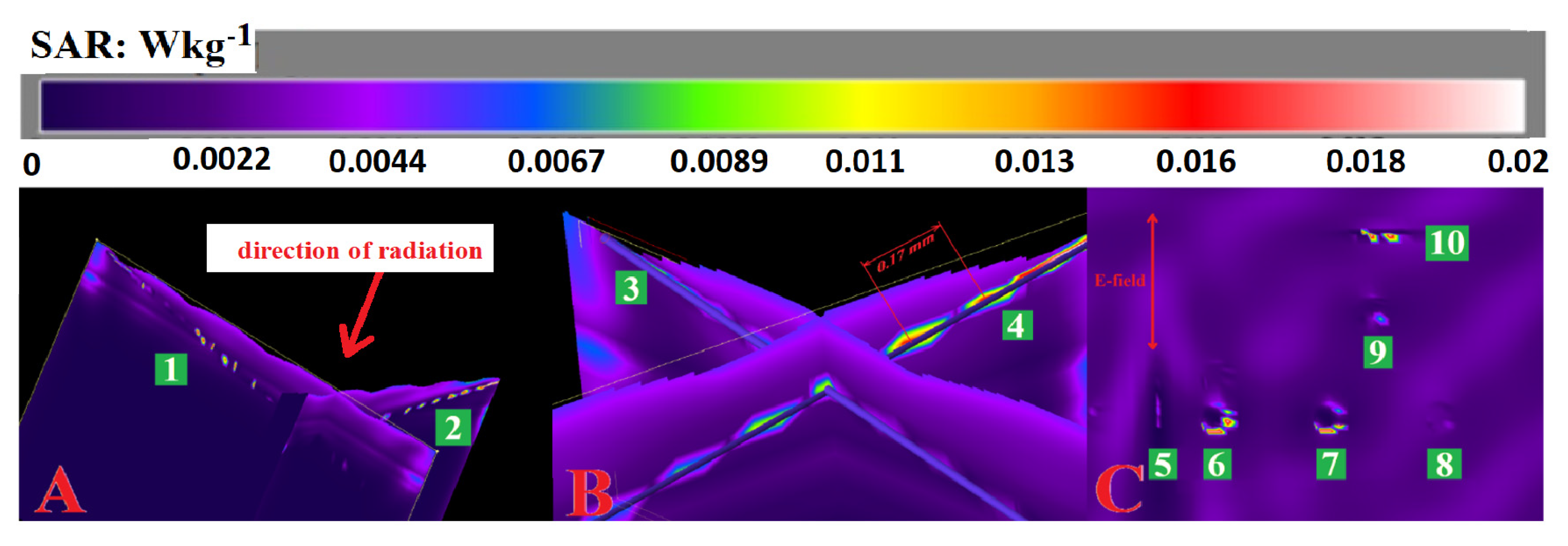 Dermato 03 00006 g007