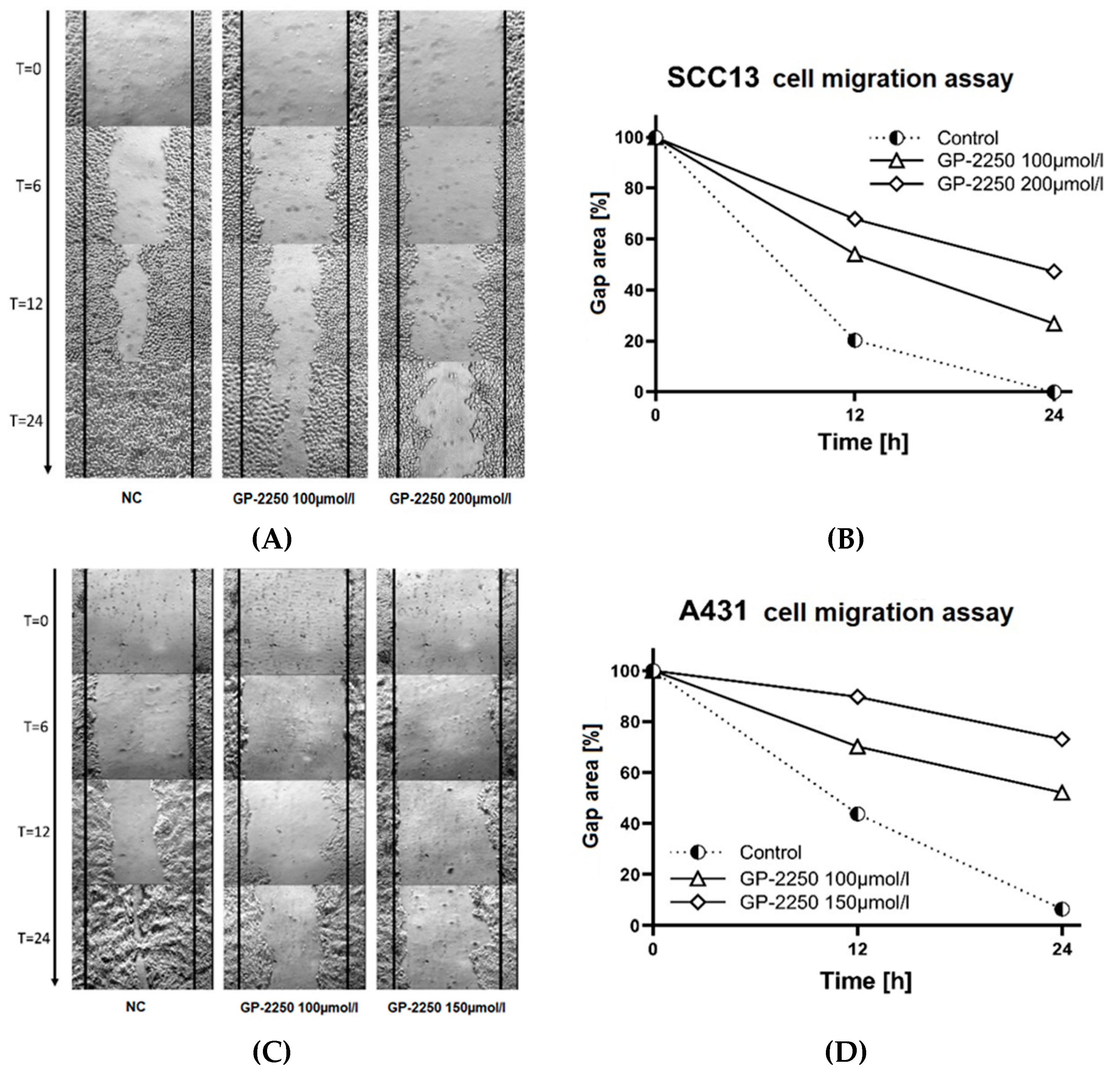 Dermato 03 00007 g005